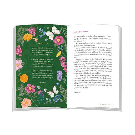 Beispielinhalt (Bild) Zwischen Rüben und Kraut in den Himmel geschaut