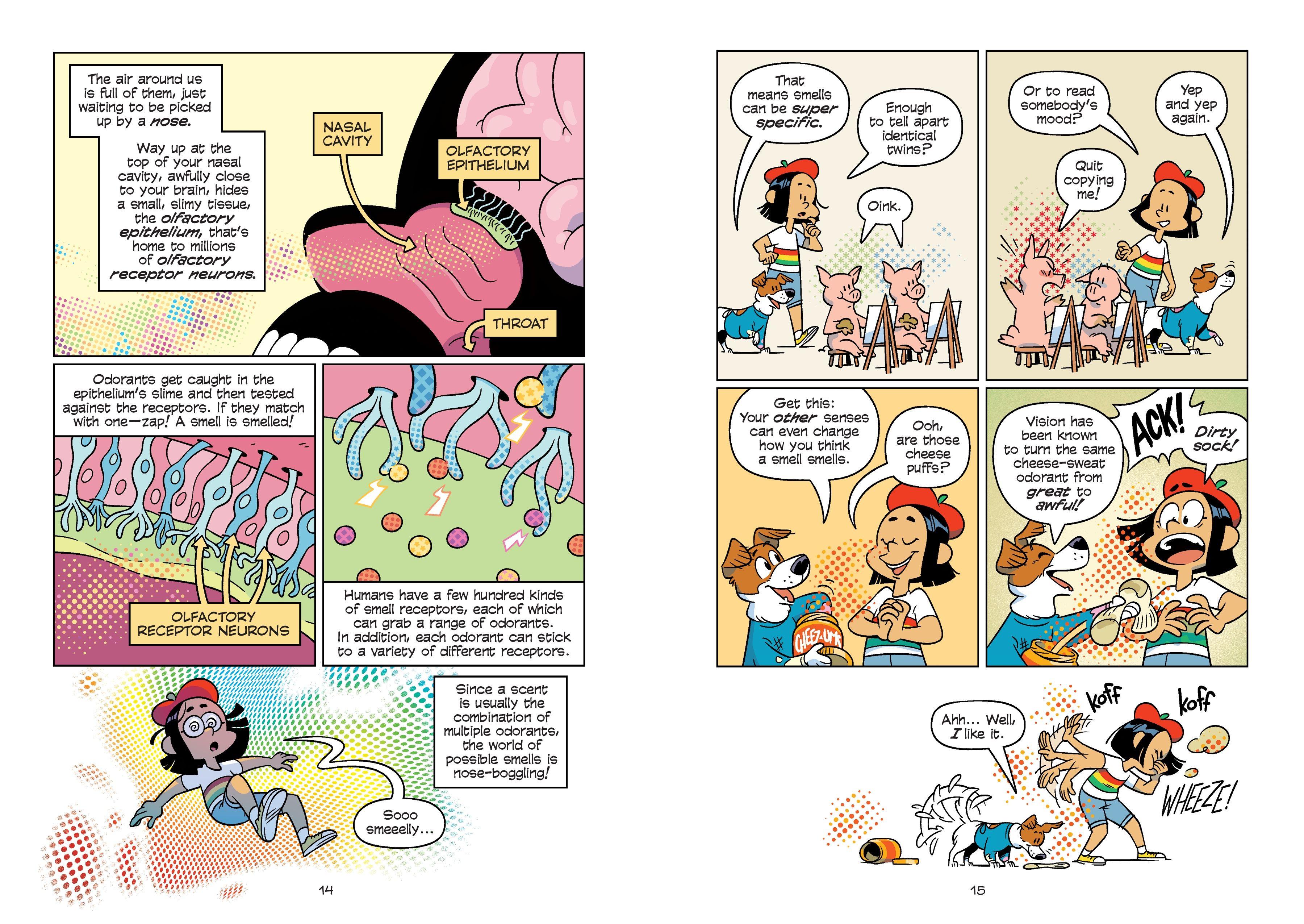 Beispielinhalt (Bild) Science Comics: The Senses