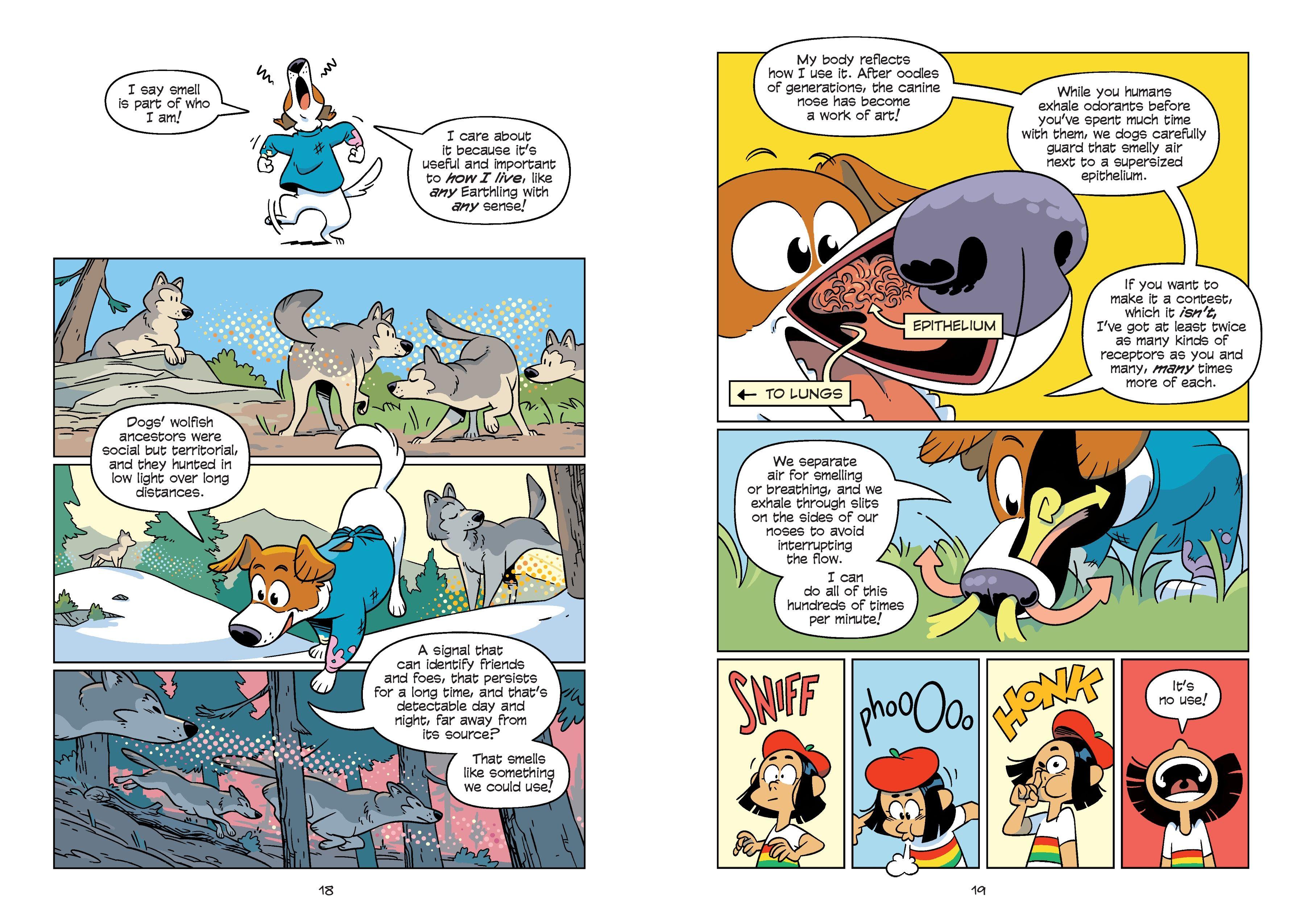 Beispielinhalt (Bild) Science Comics: The Senses