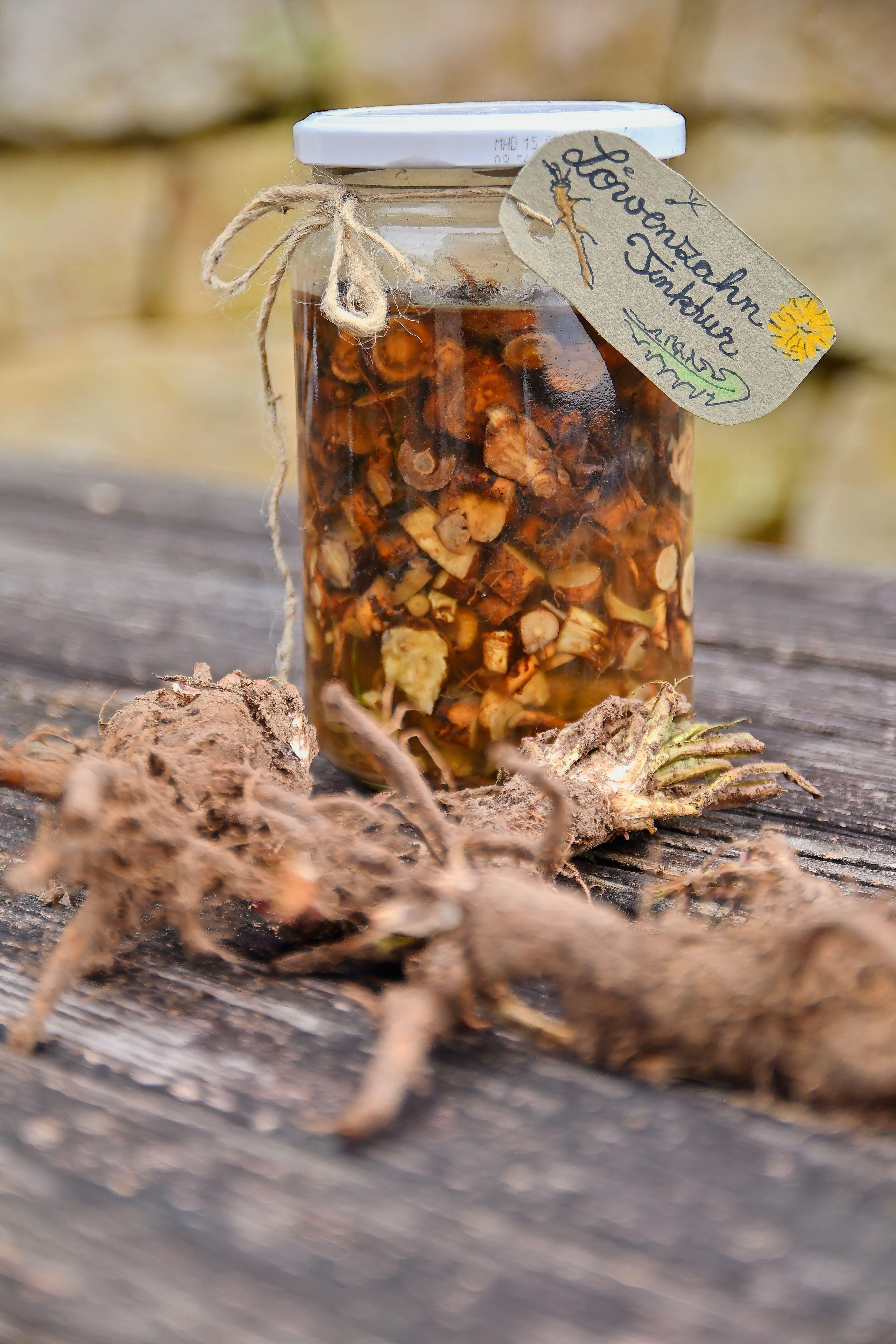 Beispielinhalt (Bild) Das Löwenzahnbuch