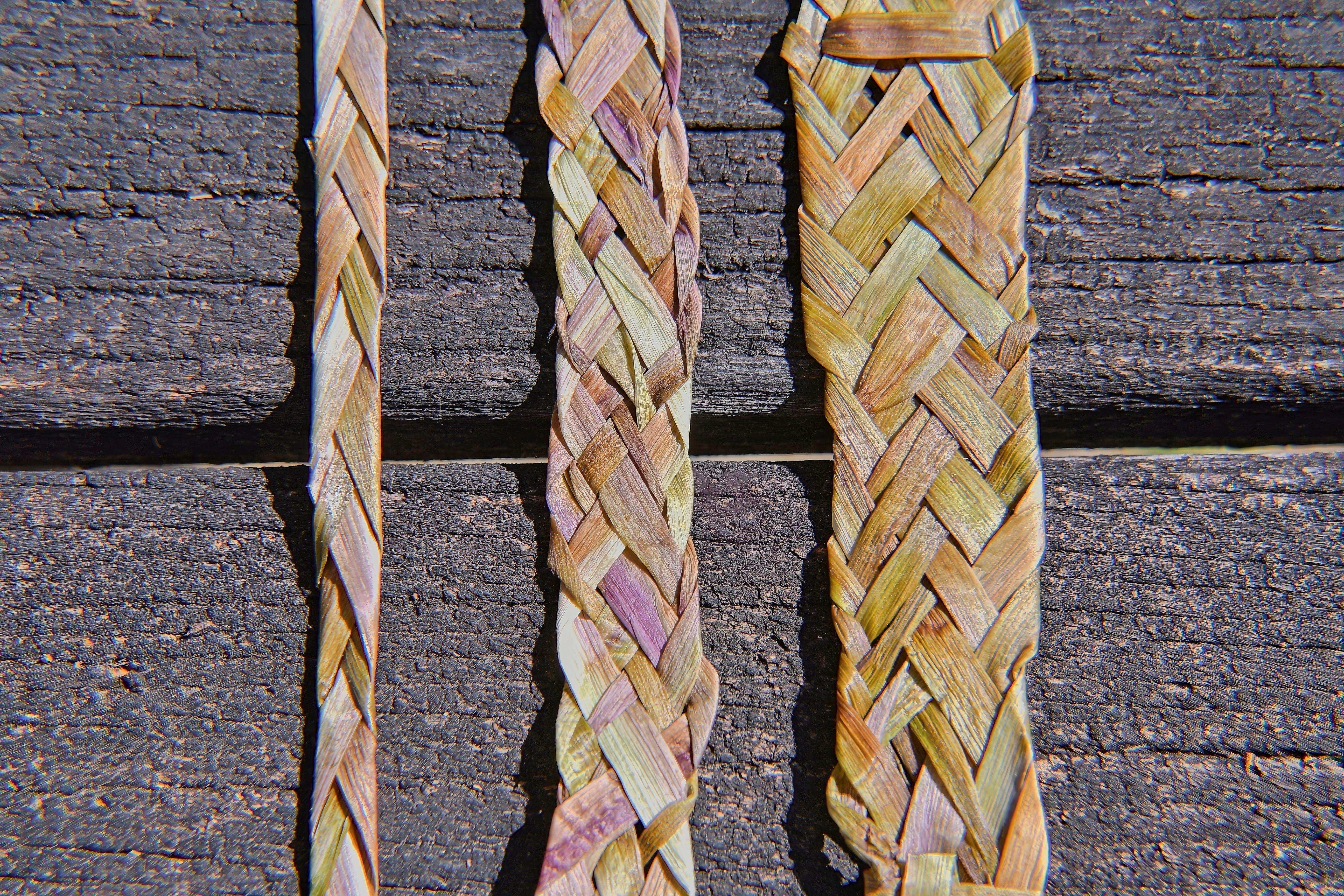 Beispielinhalt (Bild) Das Löwenzahnbuch