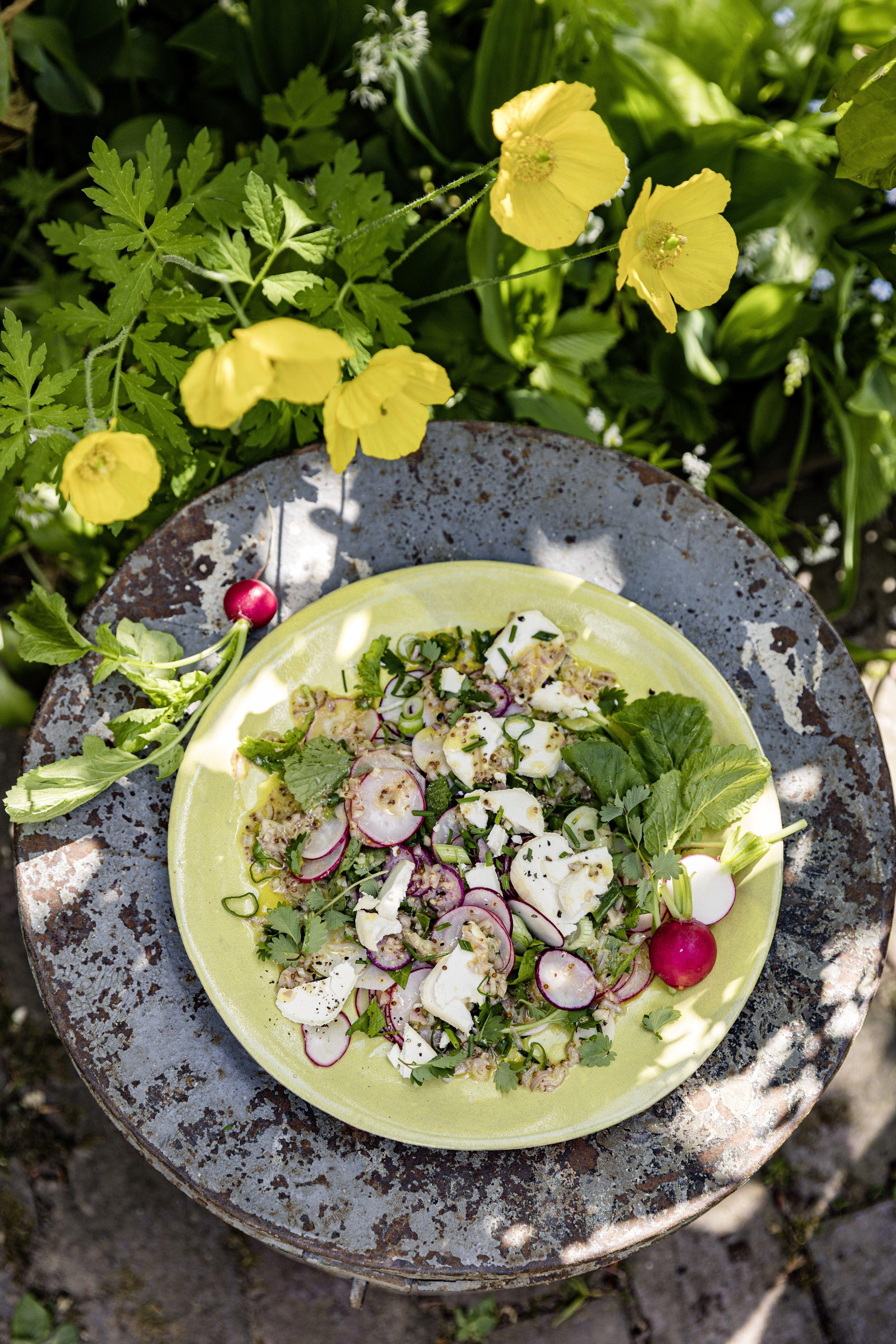 Beispielinhalt (Bild) Meine grüne französische Bistro-Küche