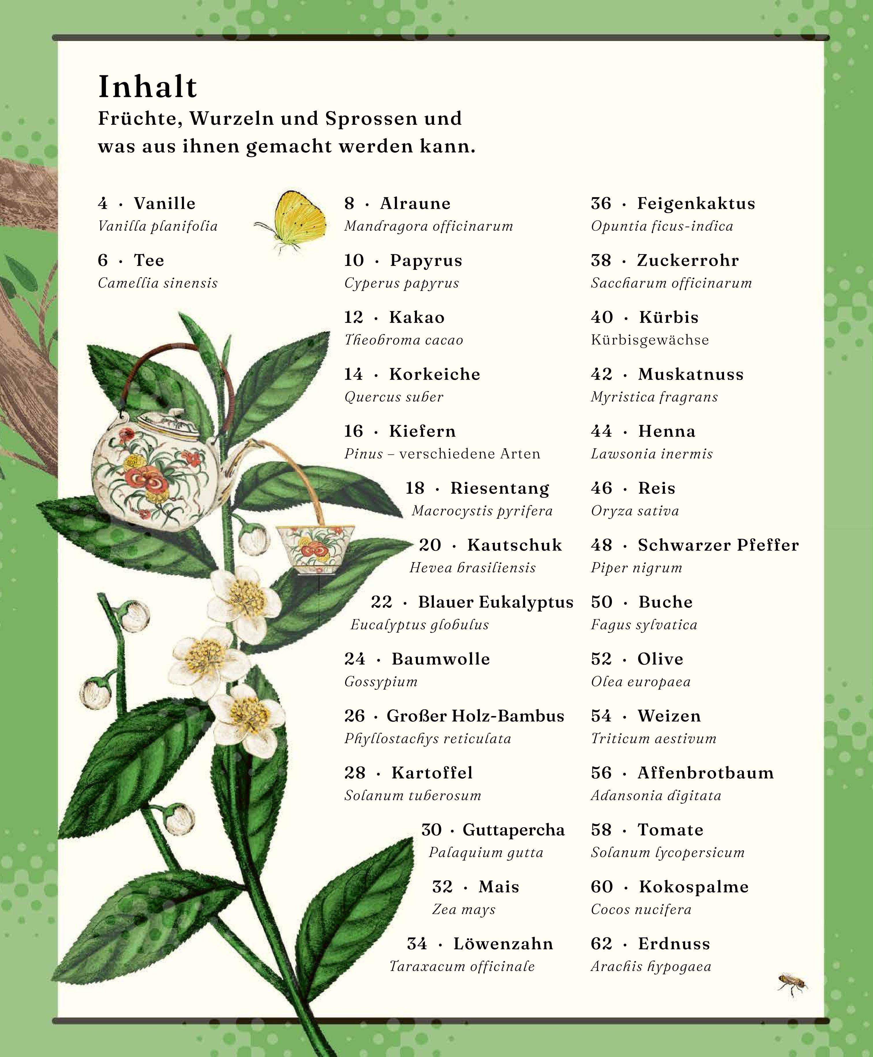 Beispielinhalt (Bild) Der Stoff, aus dem die Dinge sind