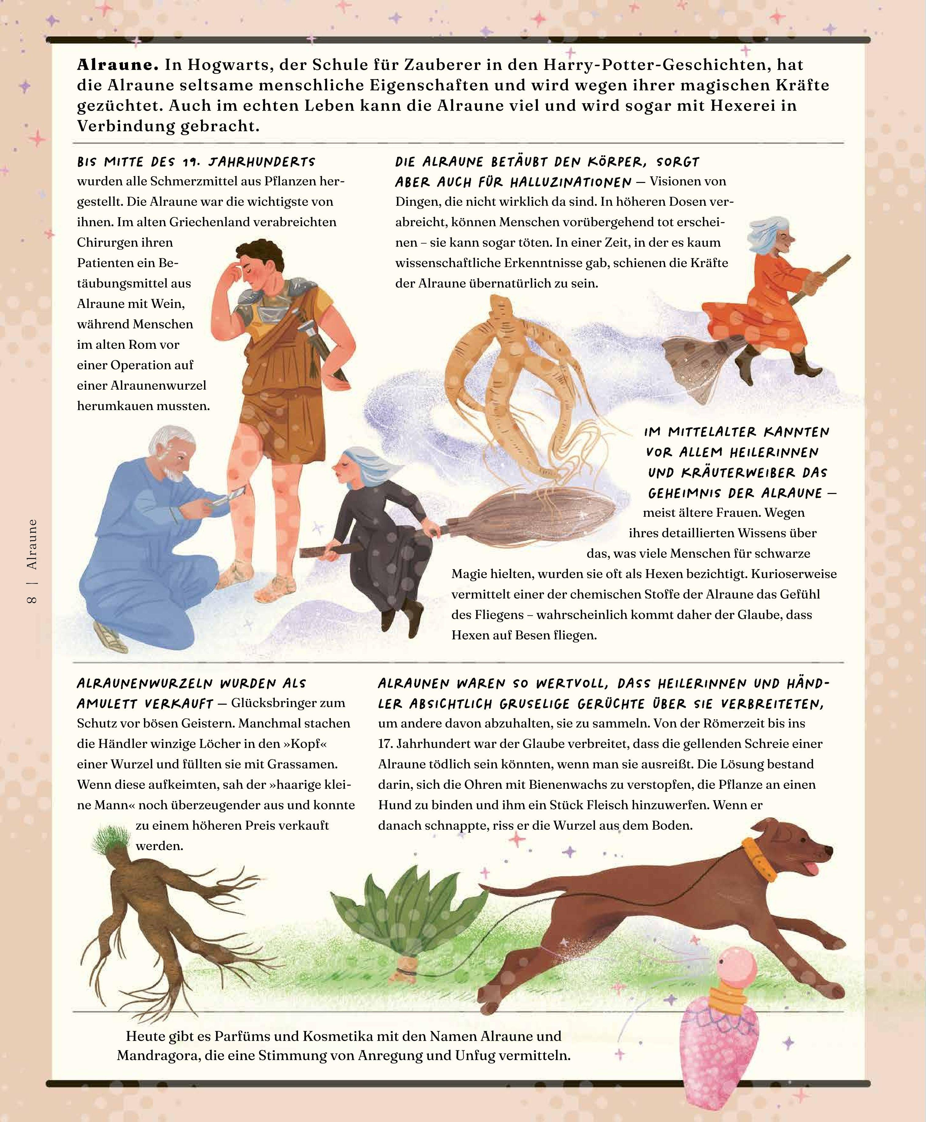 Beispielinhalt (Bild) Der Stoff, aus dem die Dinge sind