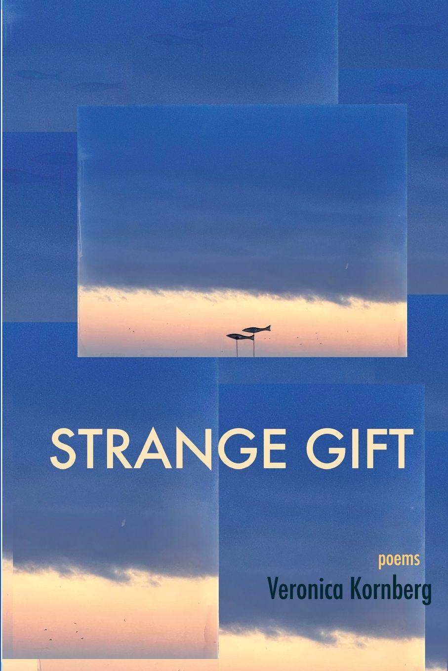 Vorderes Coverbild Strange Gift
