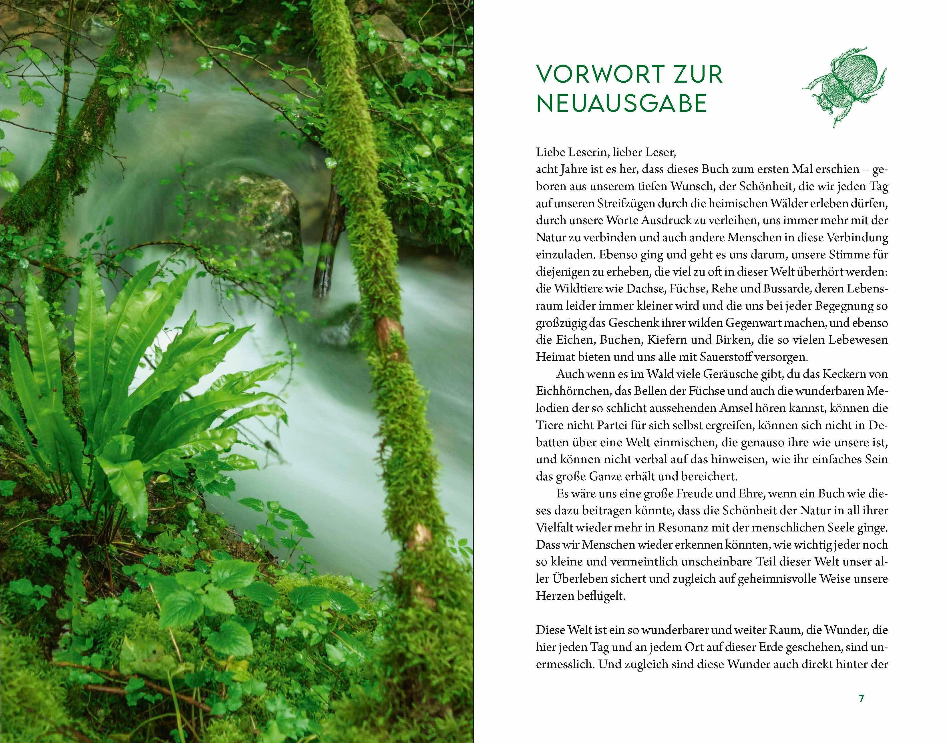 Beispielinhalt (Bild) Kraftort Natur