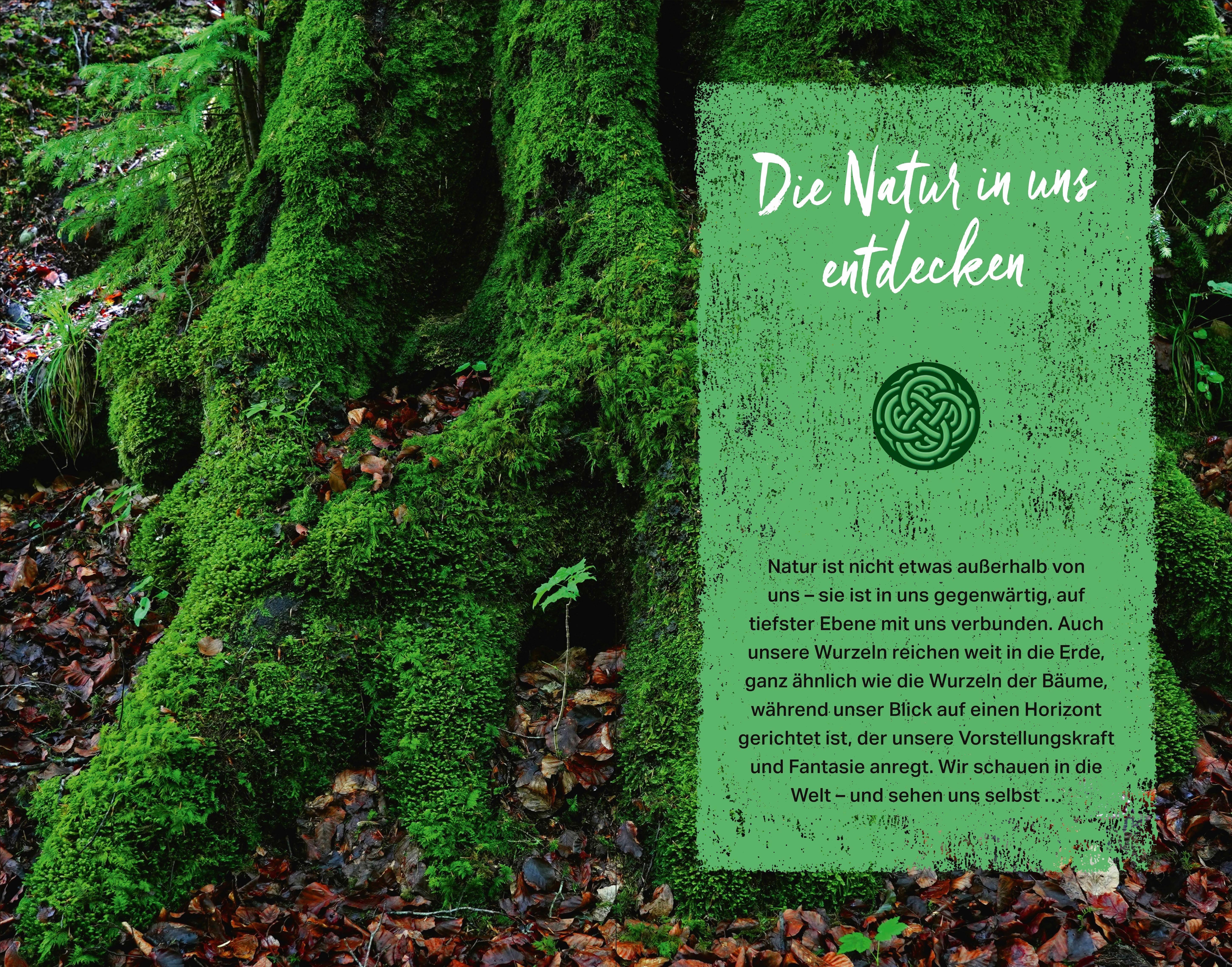 Beispielinhalt (Bild) Kraftort Natur