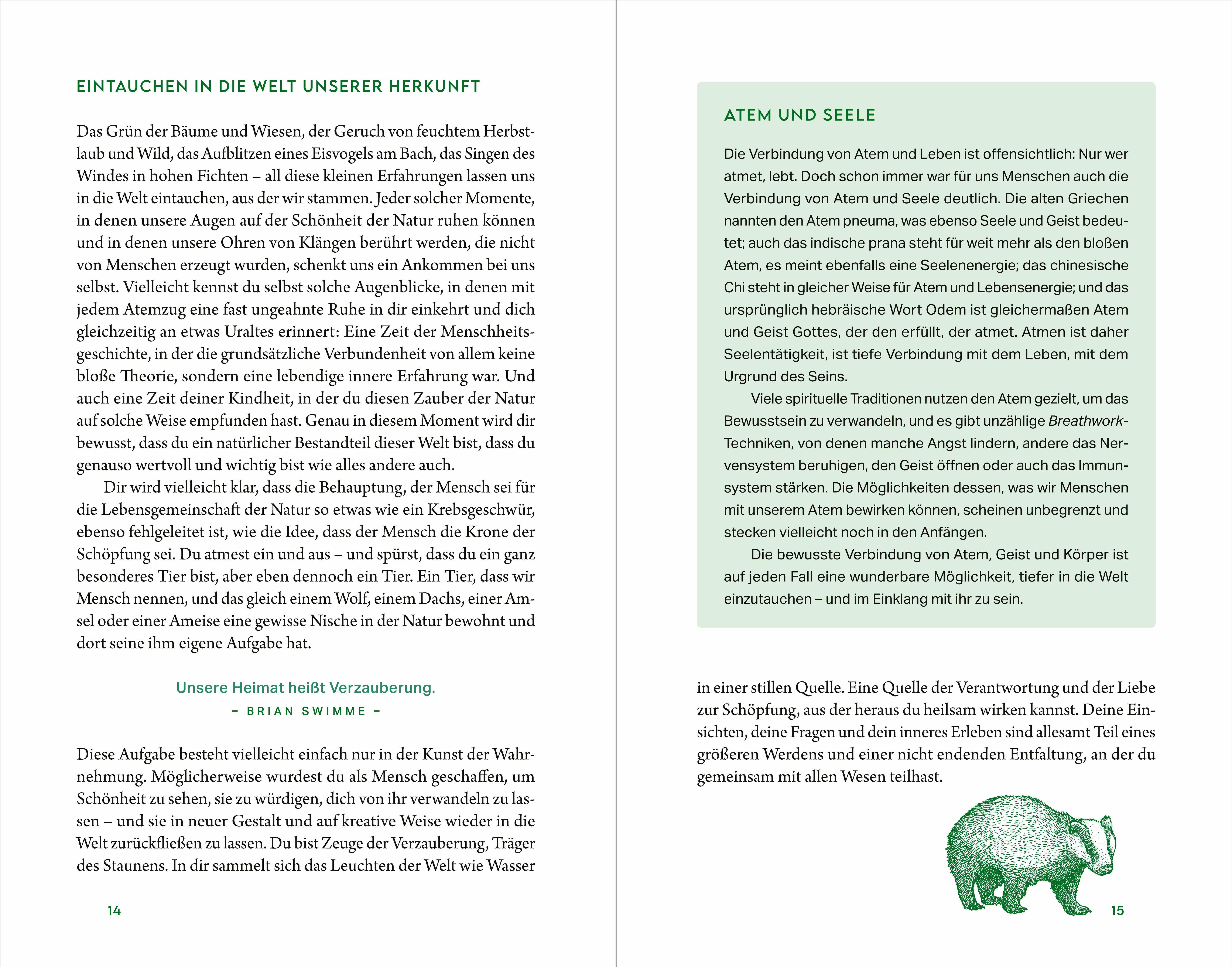 Beispielinhalt (Bild) Kraftort Natur