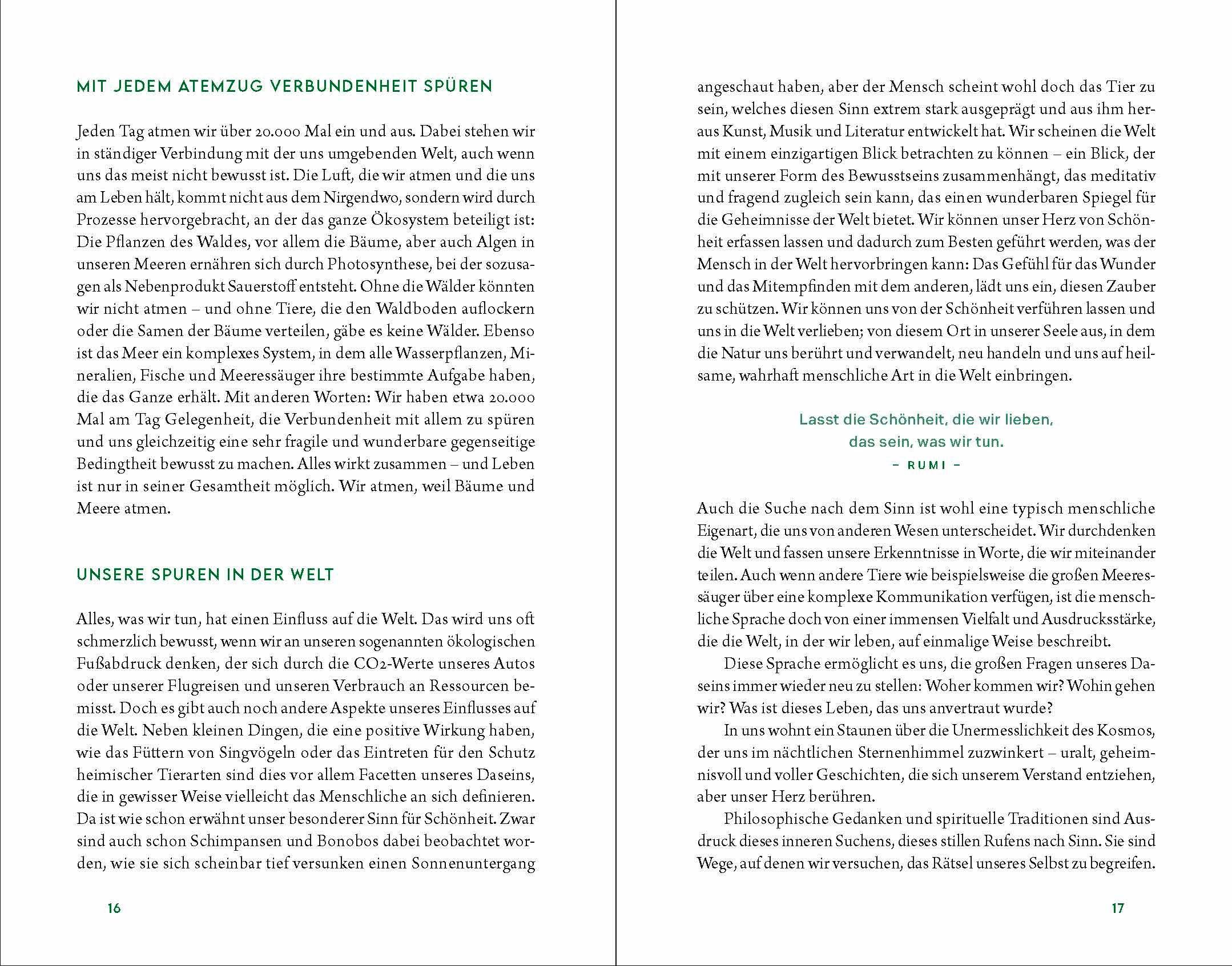 Beispielinhalt (Bild) Kraftort Natur