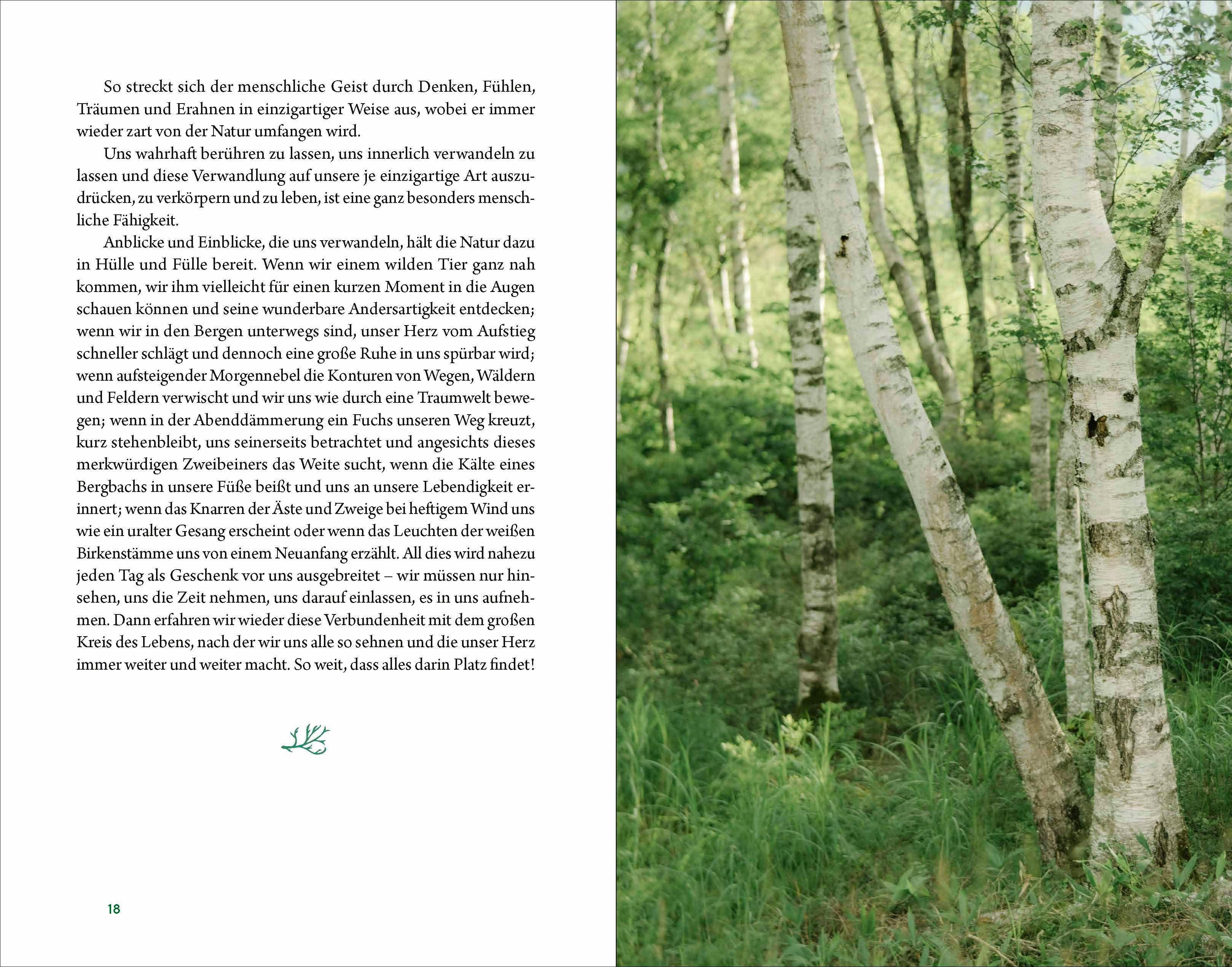 Beispielinhalt (Bild) Kraftort Natur