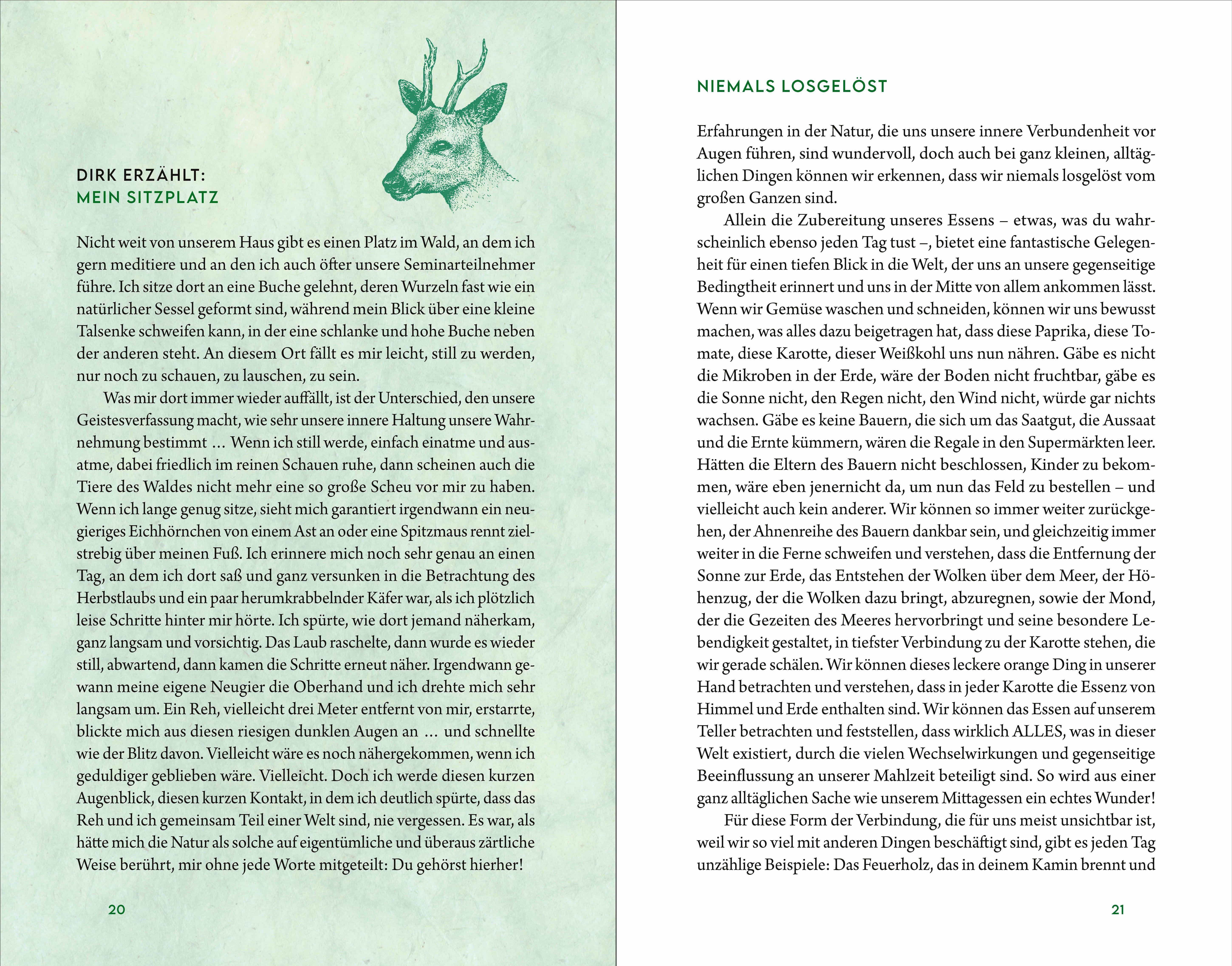 Beispielinhalt (Bild) Kraftort Natur