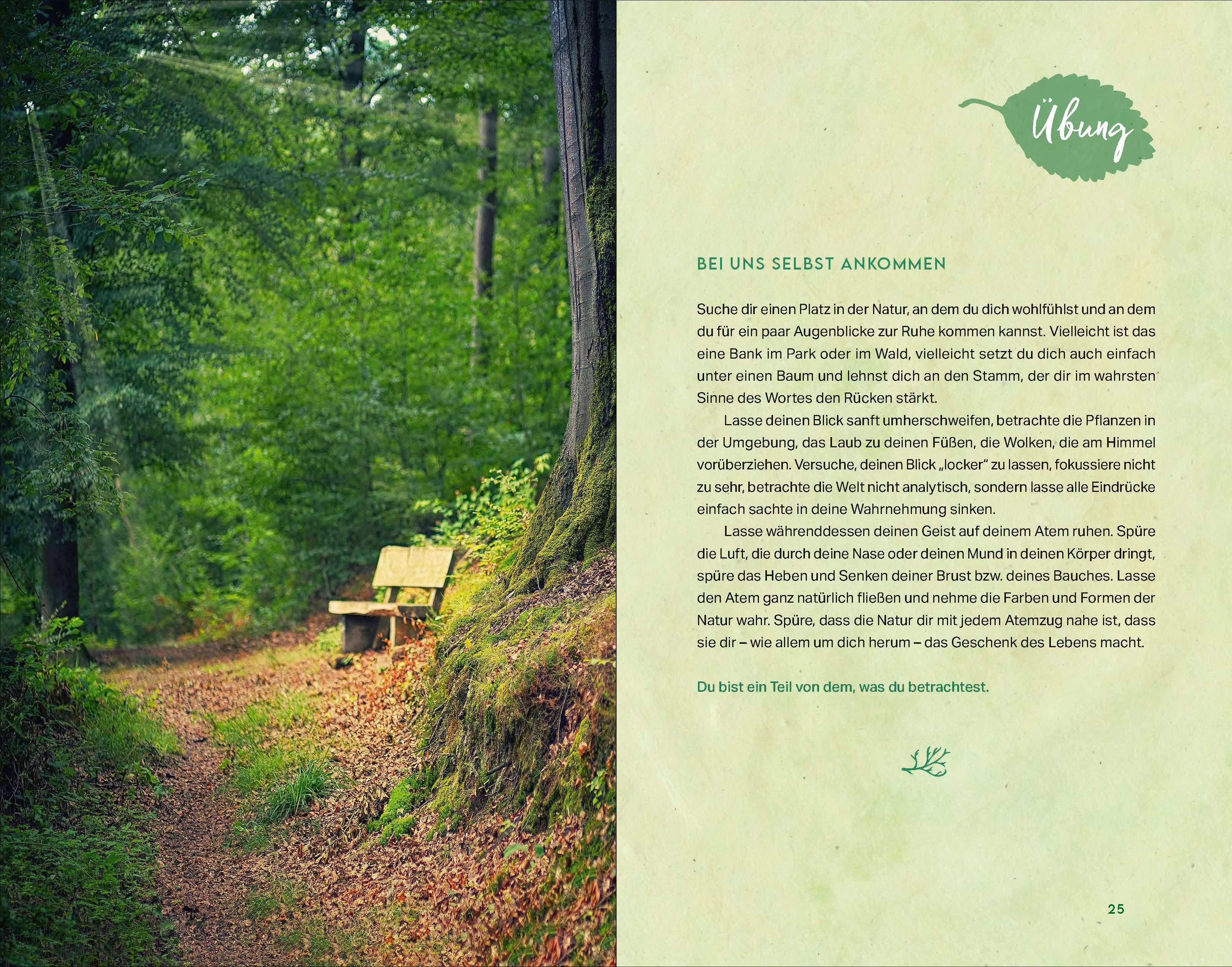 Beispielinhalt (Bild) Kraftort Natur