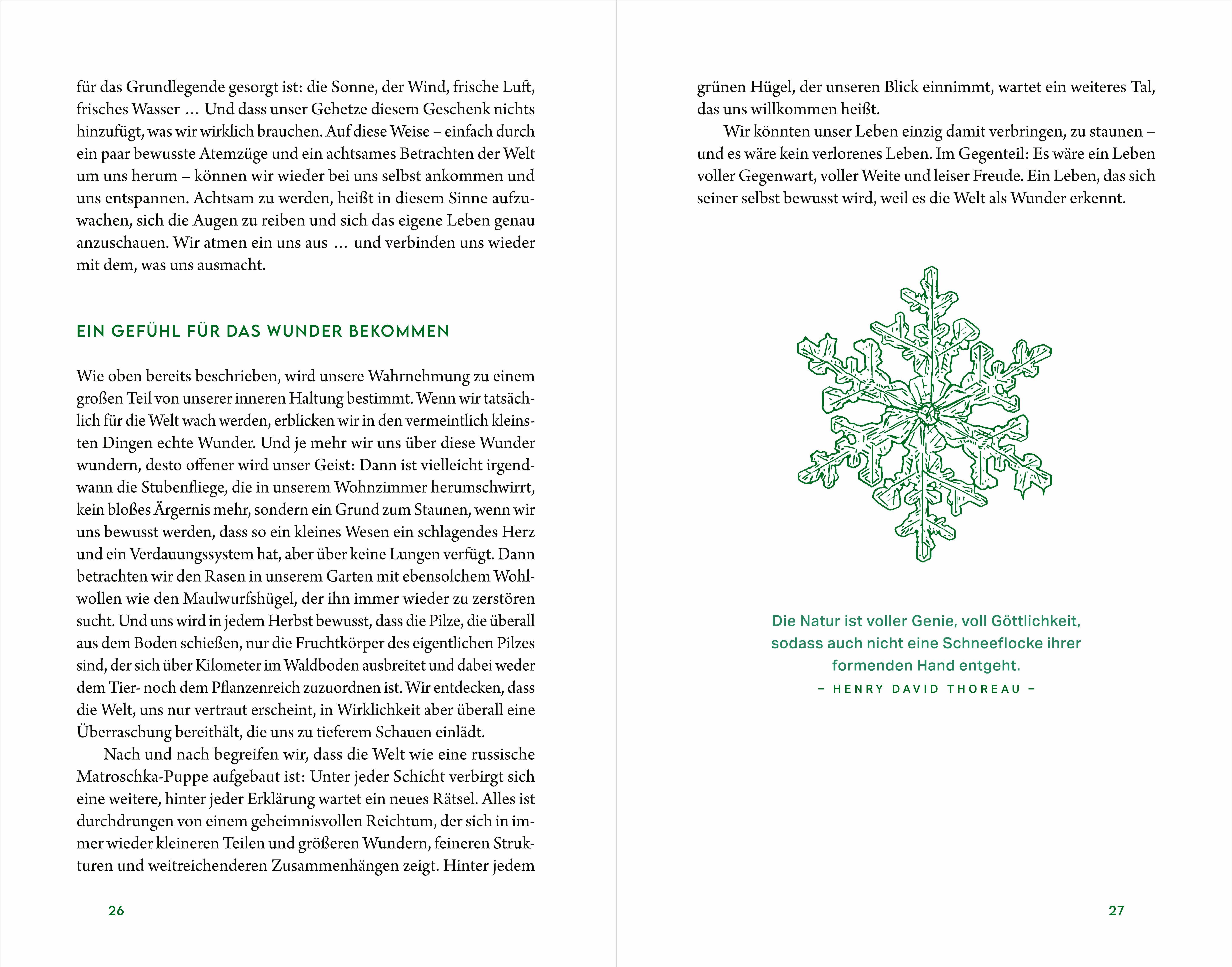 Beispielinhalt (Bild) Kraftort Natur