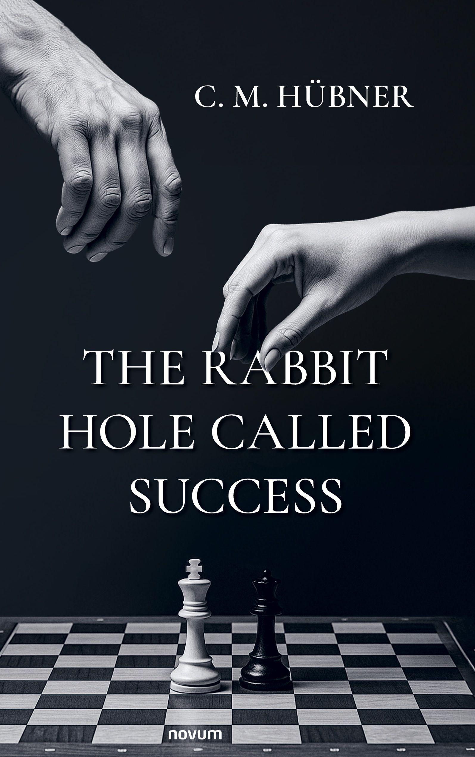 Vorderes Coverbild The Rabbit Hole Called Success