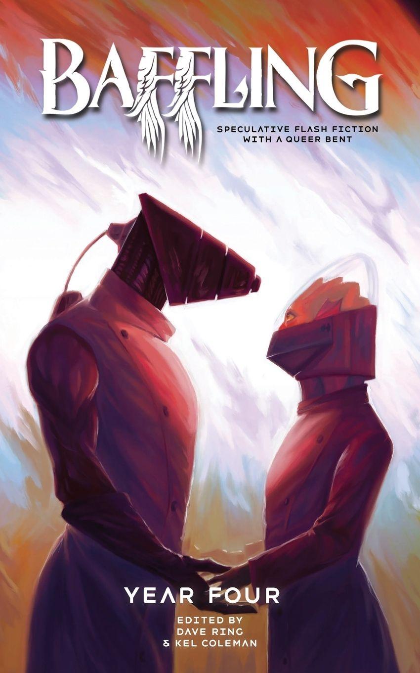 Vorderes Coverbild Baffling Year Four