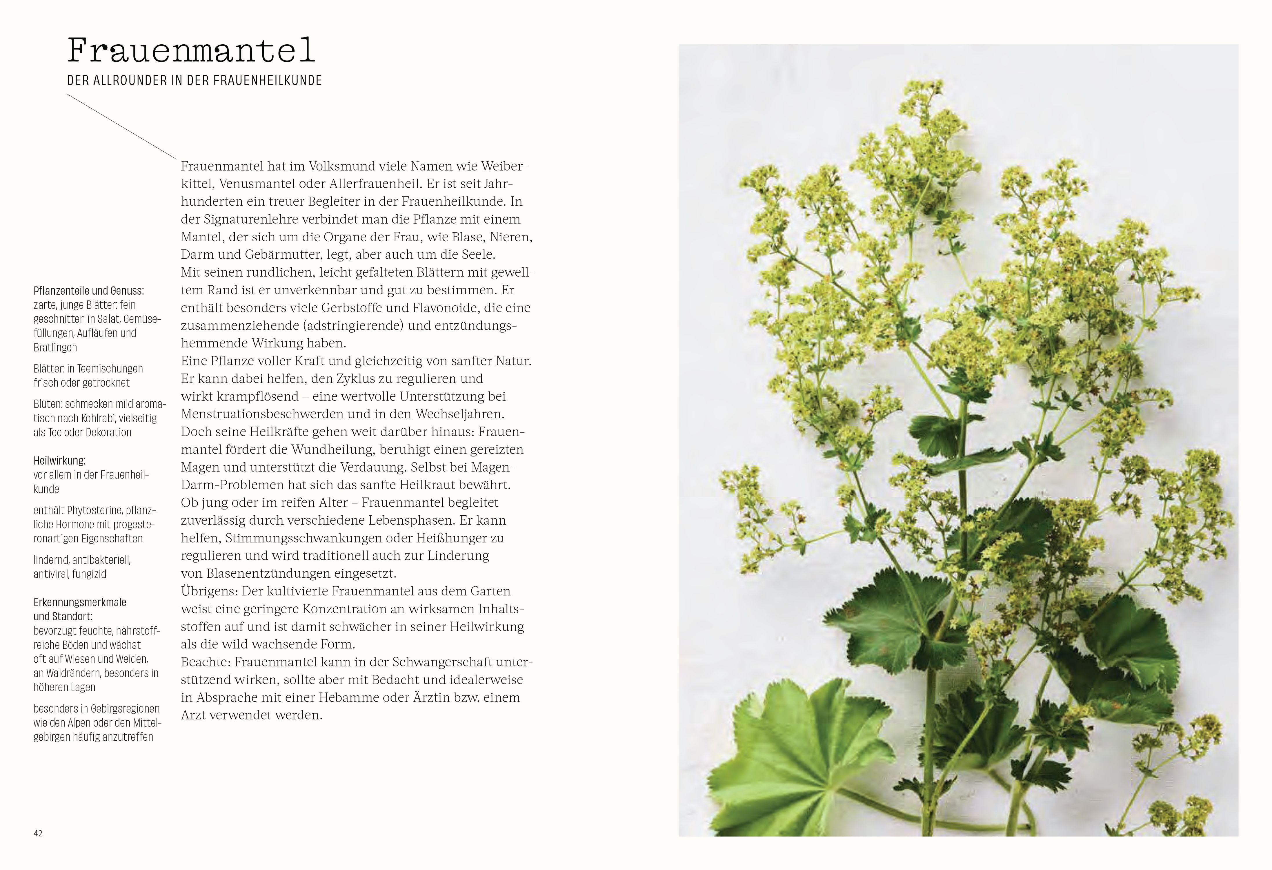 Beispielinhalt (Bild) Wild. Kräuter. Vielfalt