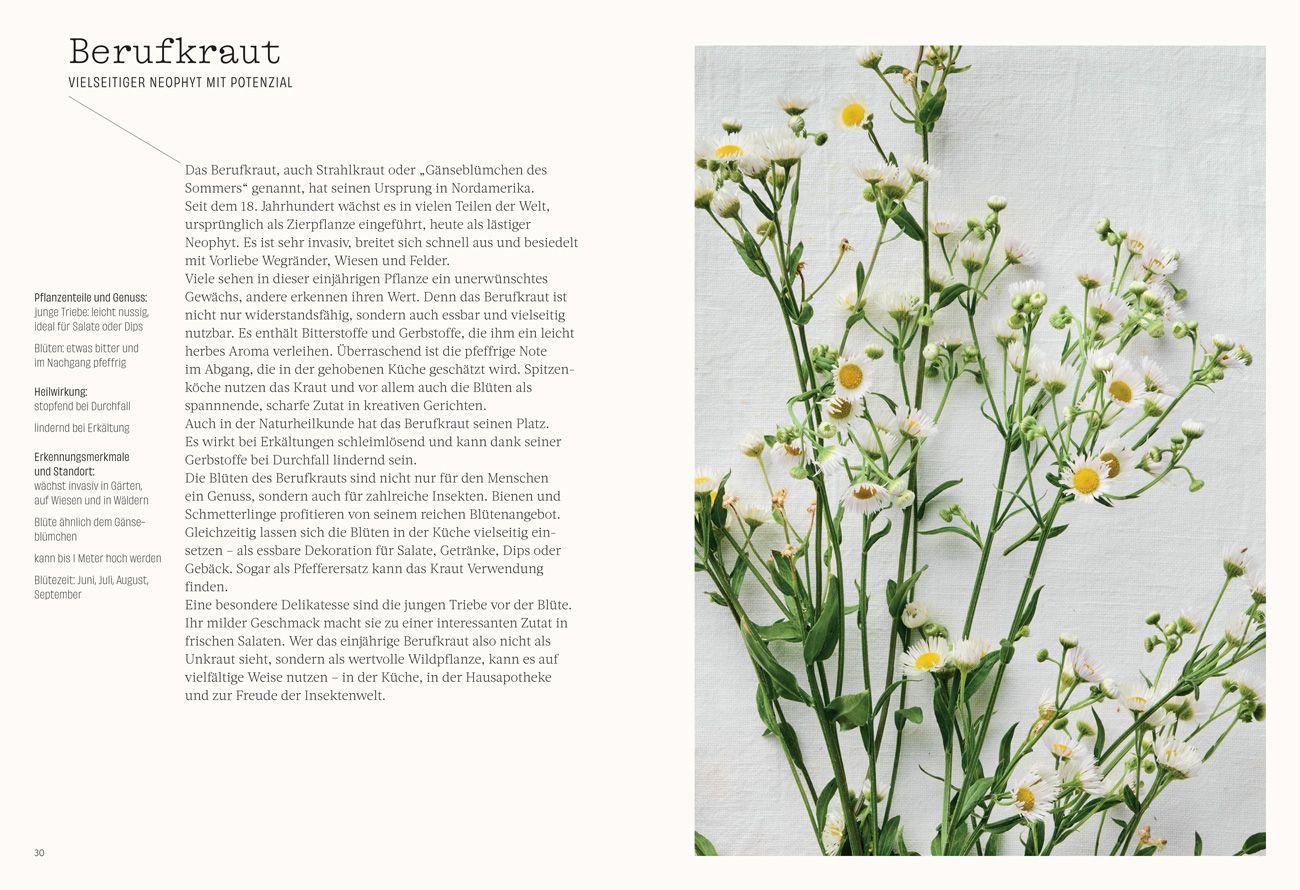 Beispielinhalt (Bild) Wild. Kräuter. Vielfalt