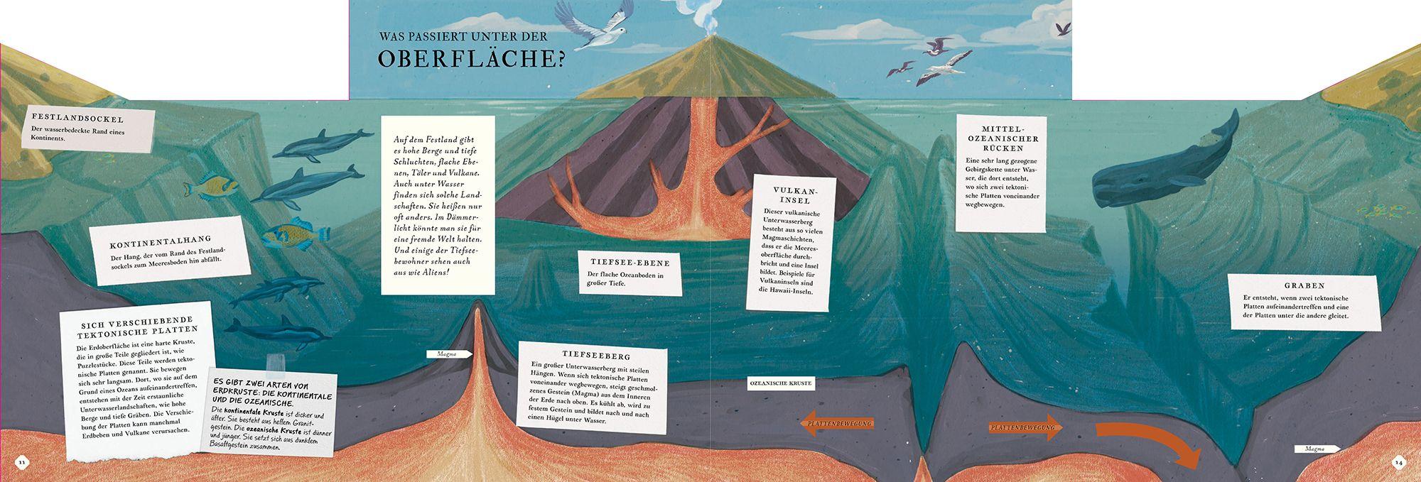Beispielinhalt (Bild) Erkunde den Ozean in diesem Buch