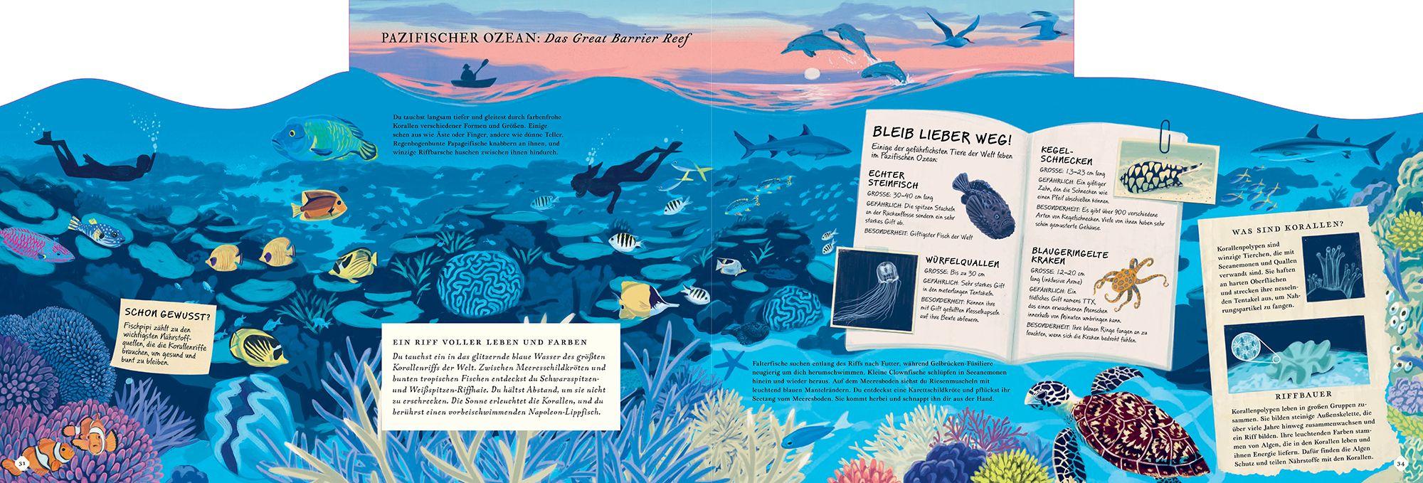 Beispielinhalt (Bild) Erkunde den Ozean in diesem Buch