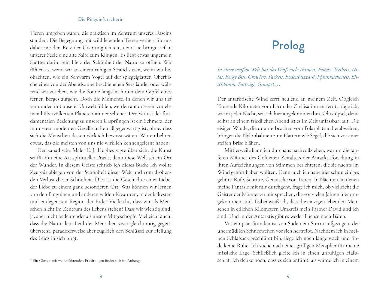 Beispielinhalt (Bild) Die Pinguinforscherin