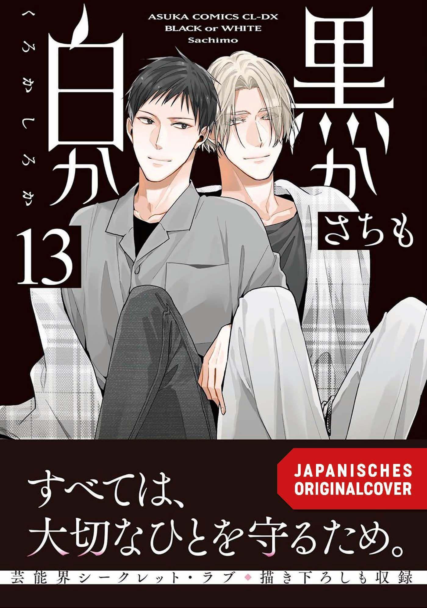 Vorderes Coverbild Black or White 13