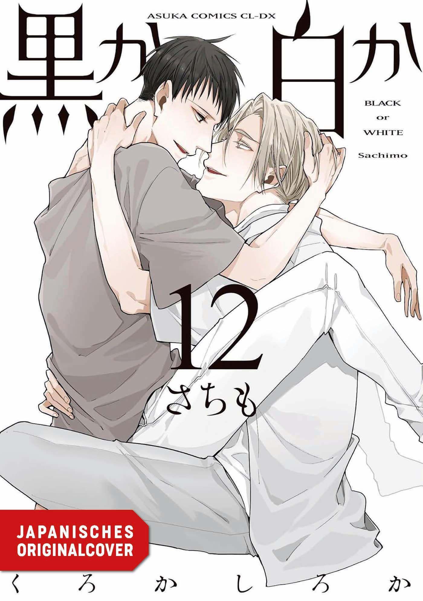 Vorderes Coverbild Black or White 12