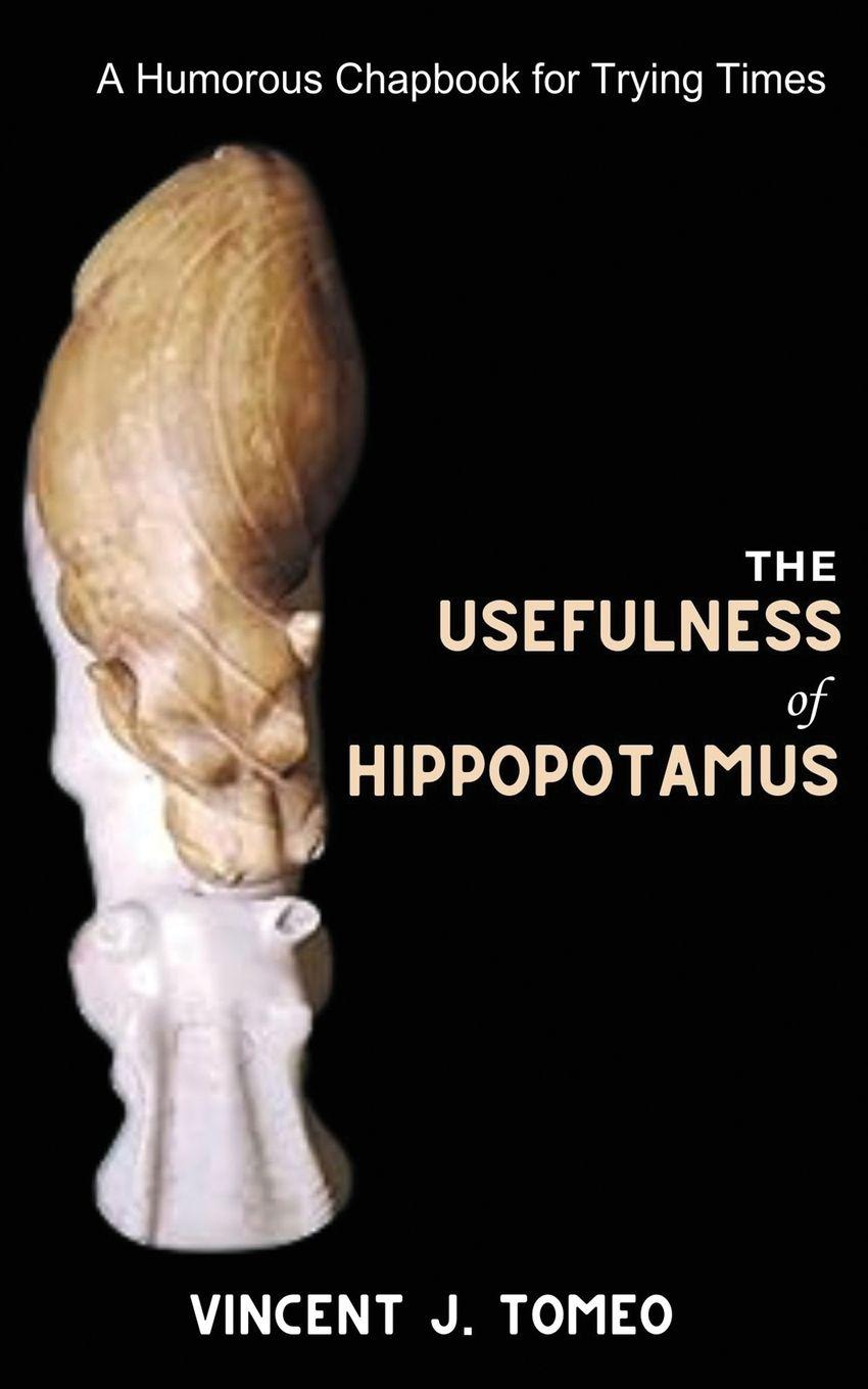 Vorderes Coverbild The Usefulness of Hippopotamus