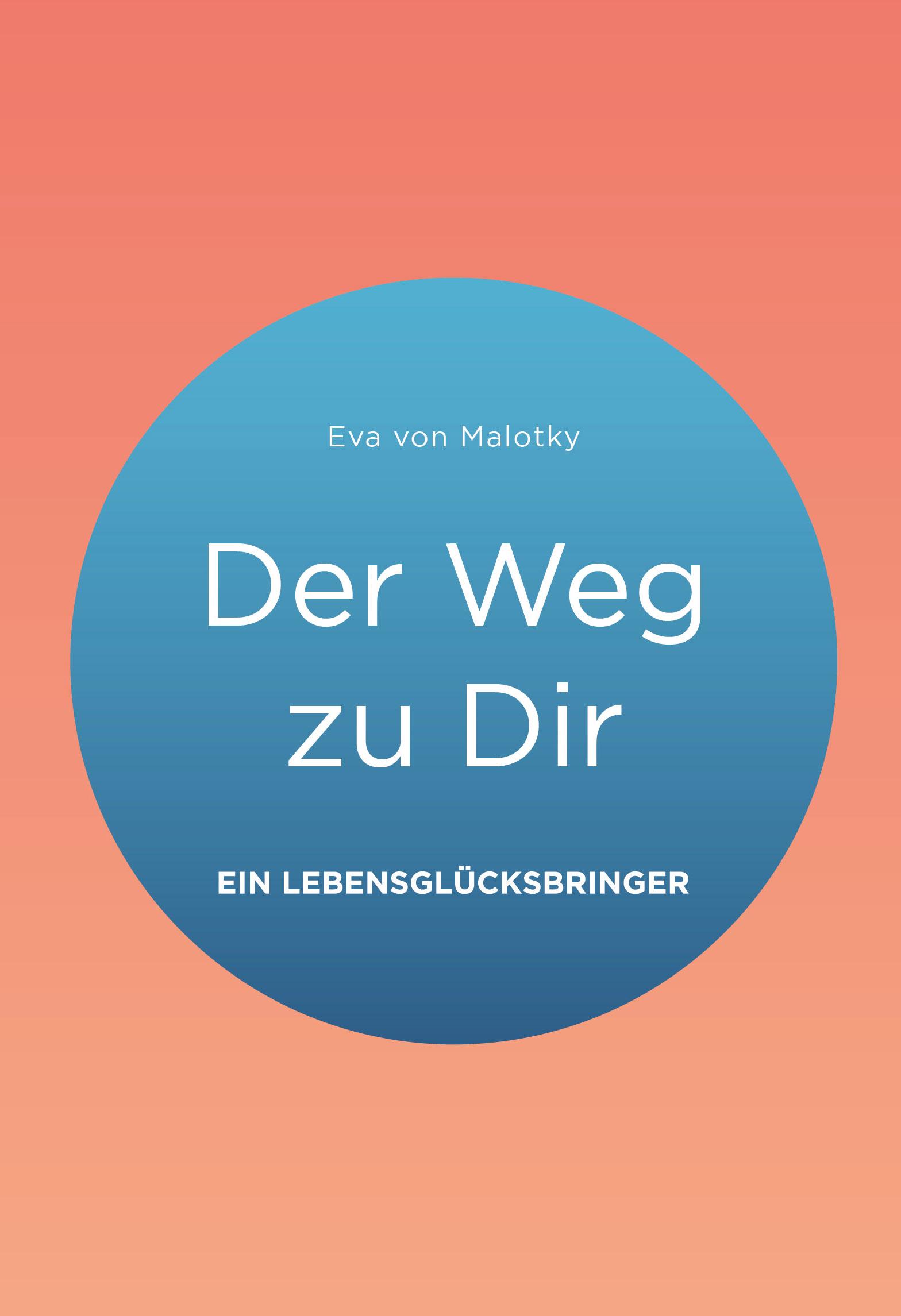 Vorderes Coverbild Der Weg zu Dir