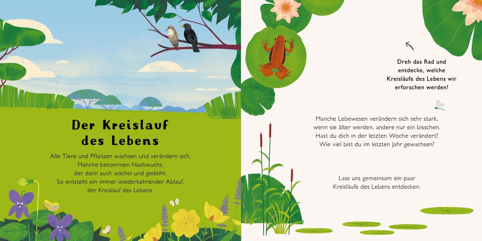 Beispielinhalt (Bild) Was wächst da?