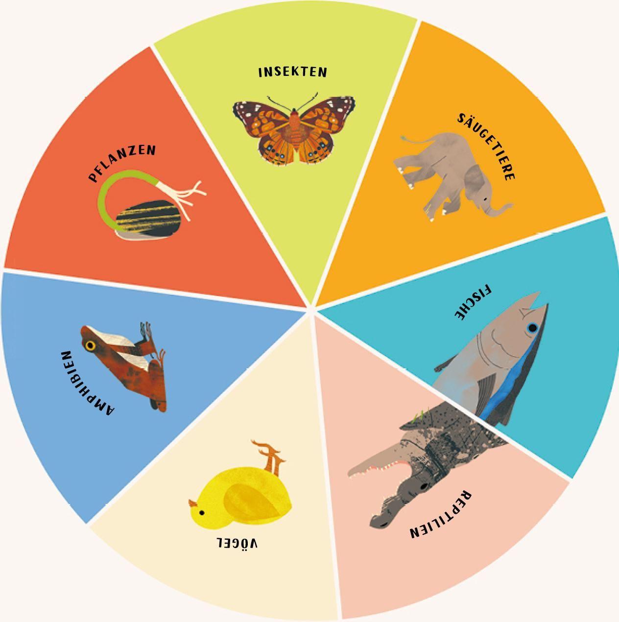 Beispielinhalt (Bild) Was wächst da?