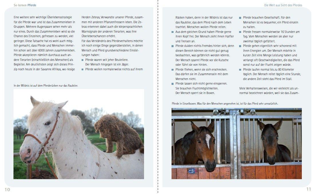 Beispielinhalt (Bild) So lernen Pferde