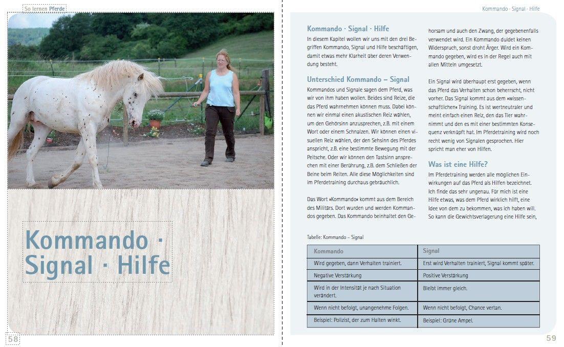 Beispielinhalt (Bild) So lernen Pferde