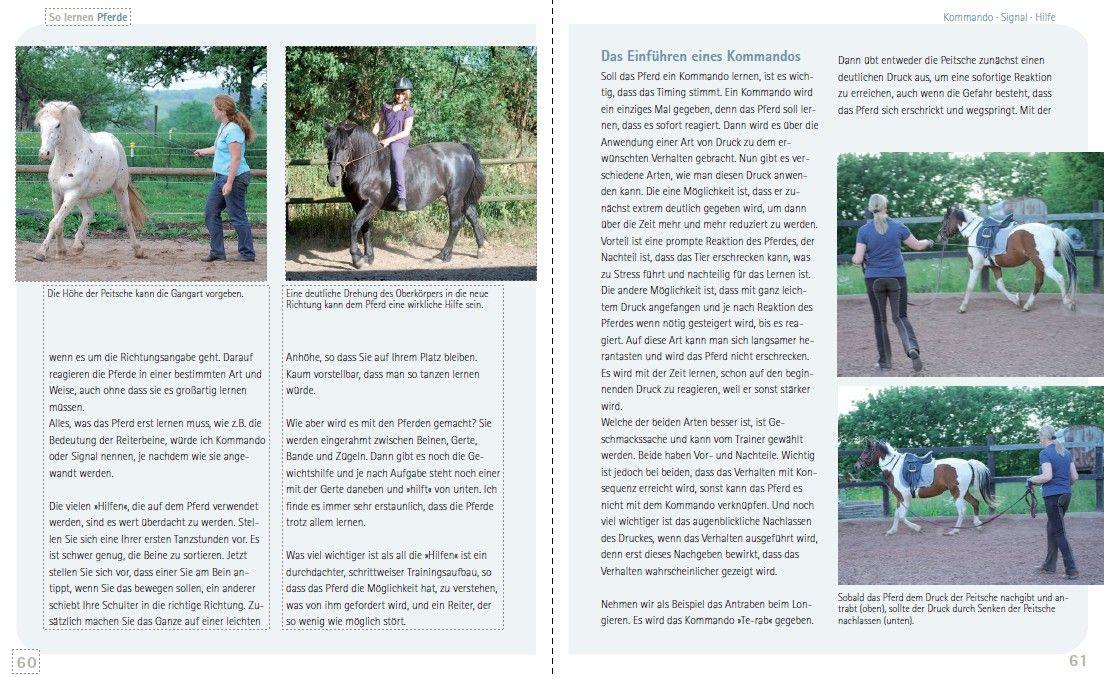 Beispielinhalt (Bild) So lernen Pferde