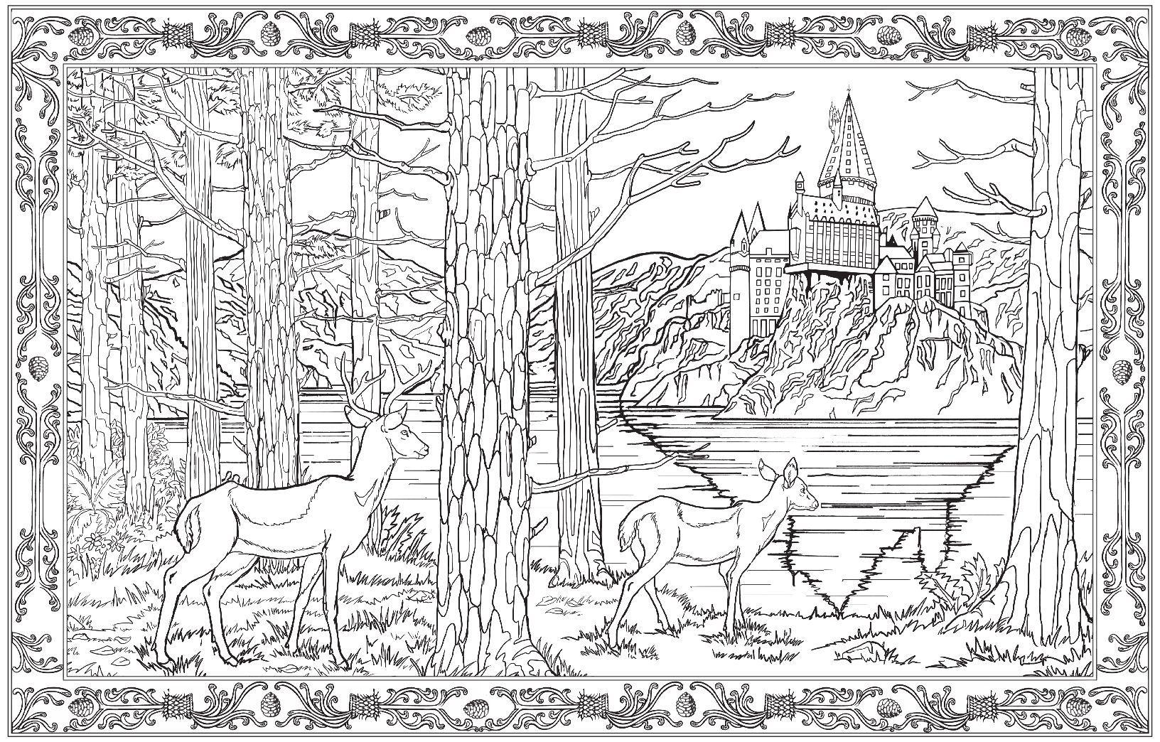 Beispielinhalt (Bild) Harry Potter: Magisches Malbuch