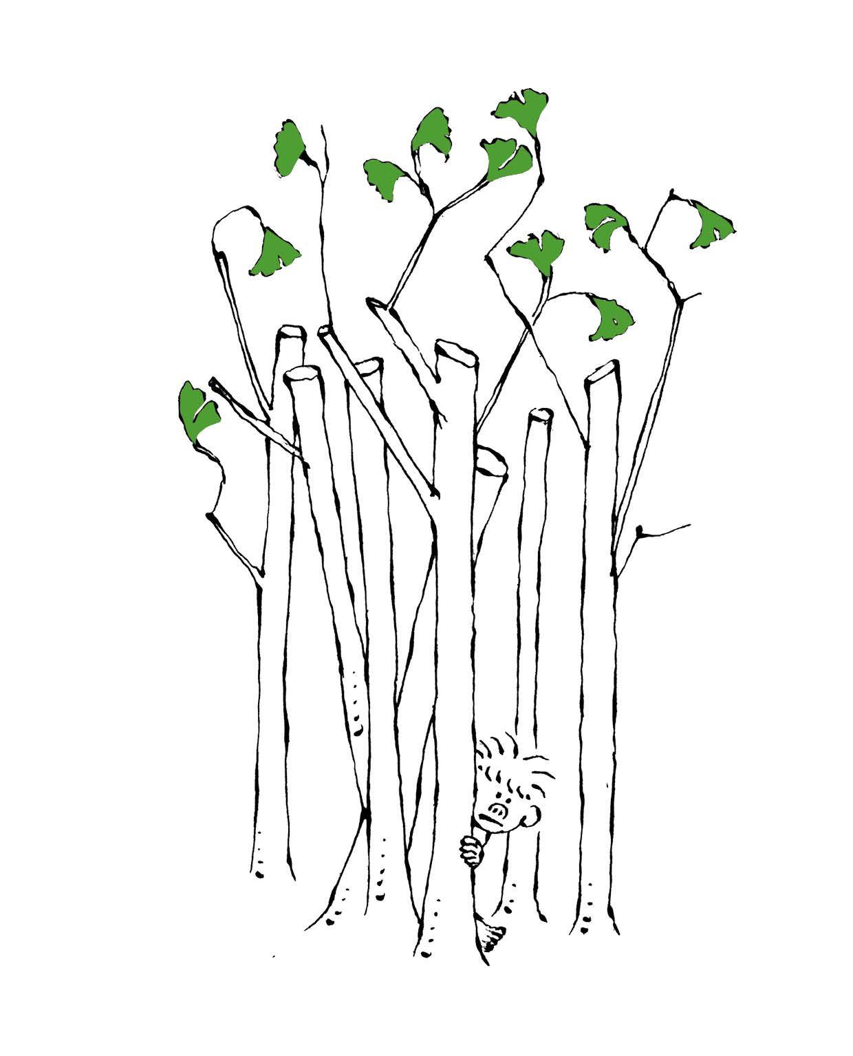 Beispielinhalt (Bild) Der kleine nackte Affe