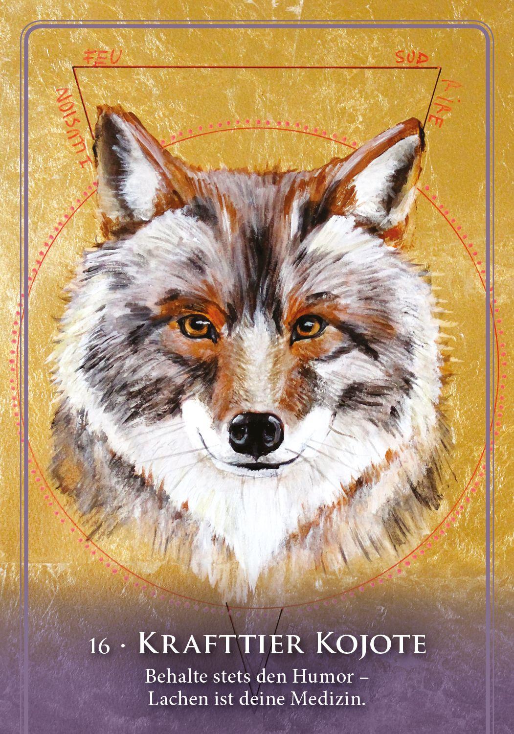 Beispielinhalt (Bild) Das Orakel der Medizinfrauen