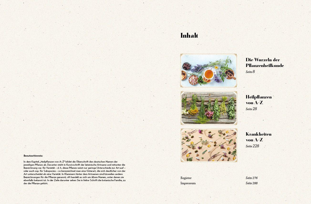 Beispielinhalt (Bild) Das große Reader´s Digest Heilpflanzenbuch