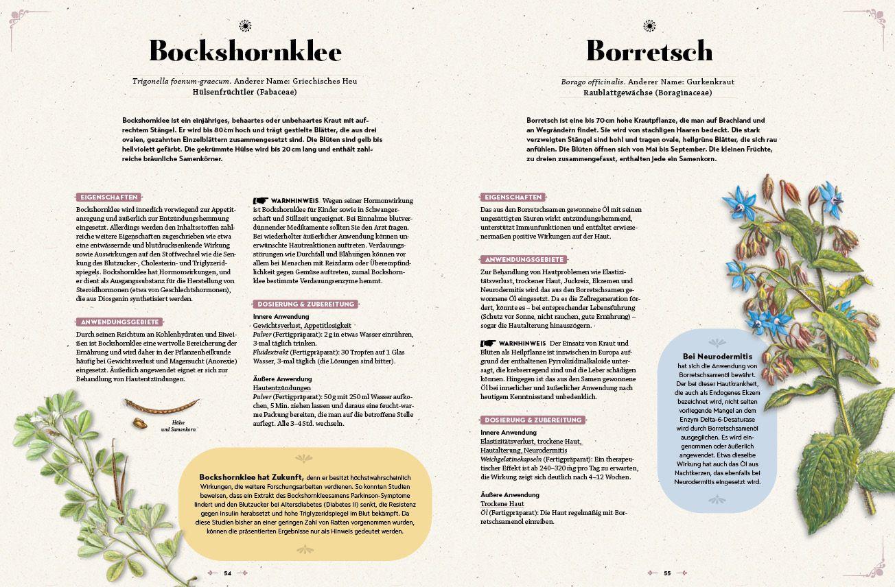 Beispielinhalt (Bild) Das große Reader´s Digest Heilpflanzenbuch