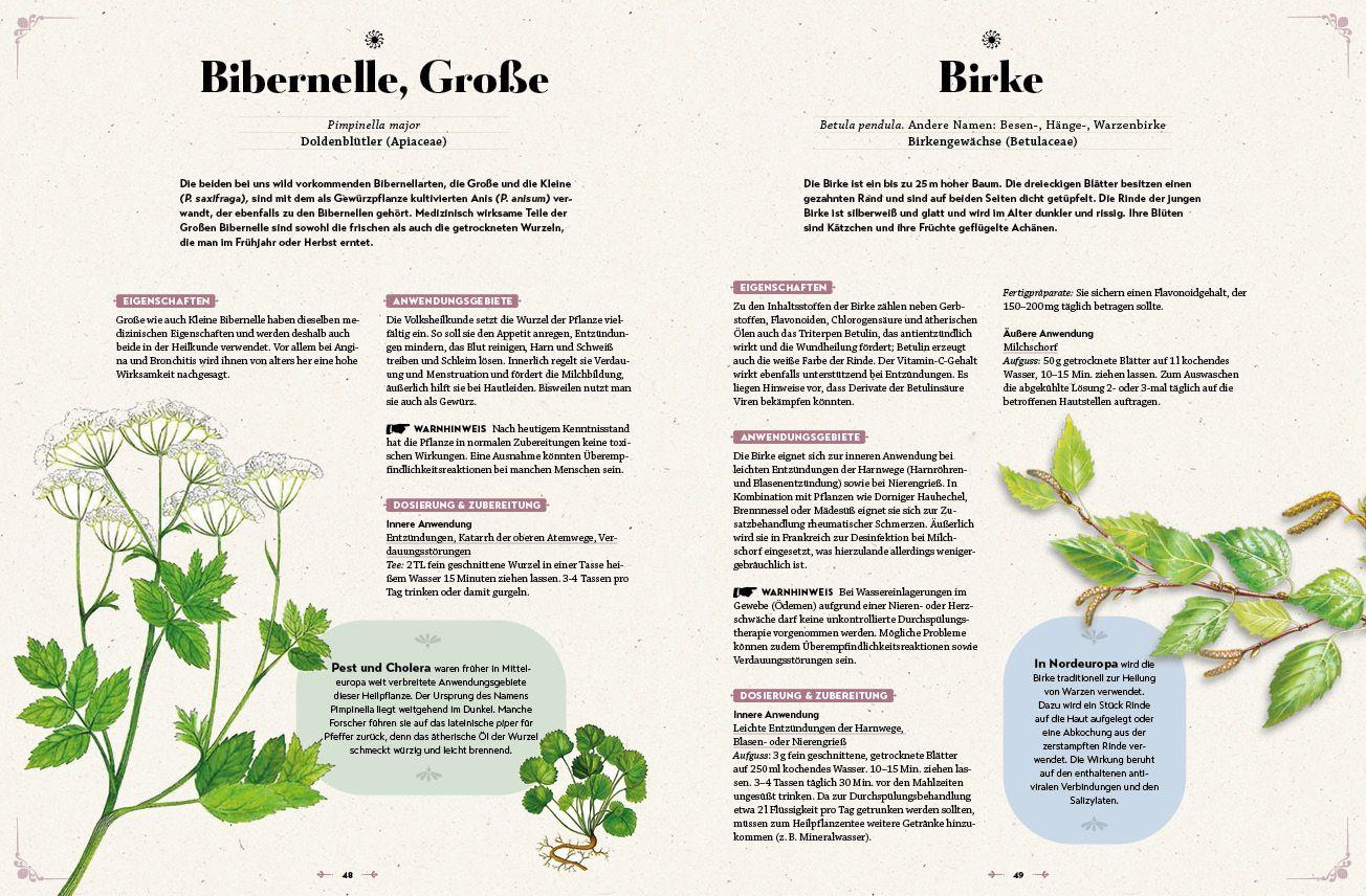 Beispielinhalt (Bild) Das große Reader´s Digest Heilpflanzenbuch