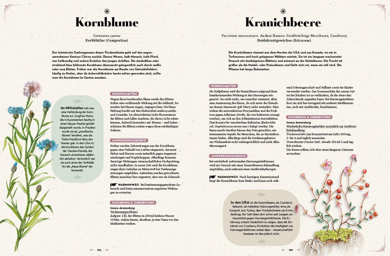 Beispielinhalt (Bild) Das große Reader´s Digest Heilpflanzenbuch