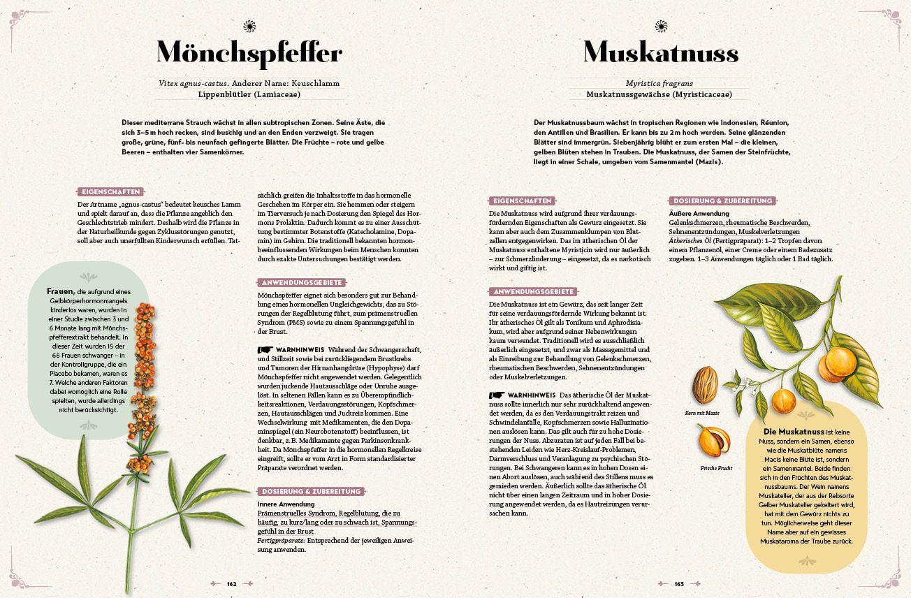 Beispielinhalt (Bild) Das große Reader´s Digest Heilpflanzenbuch