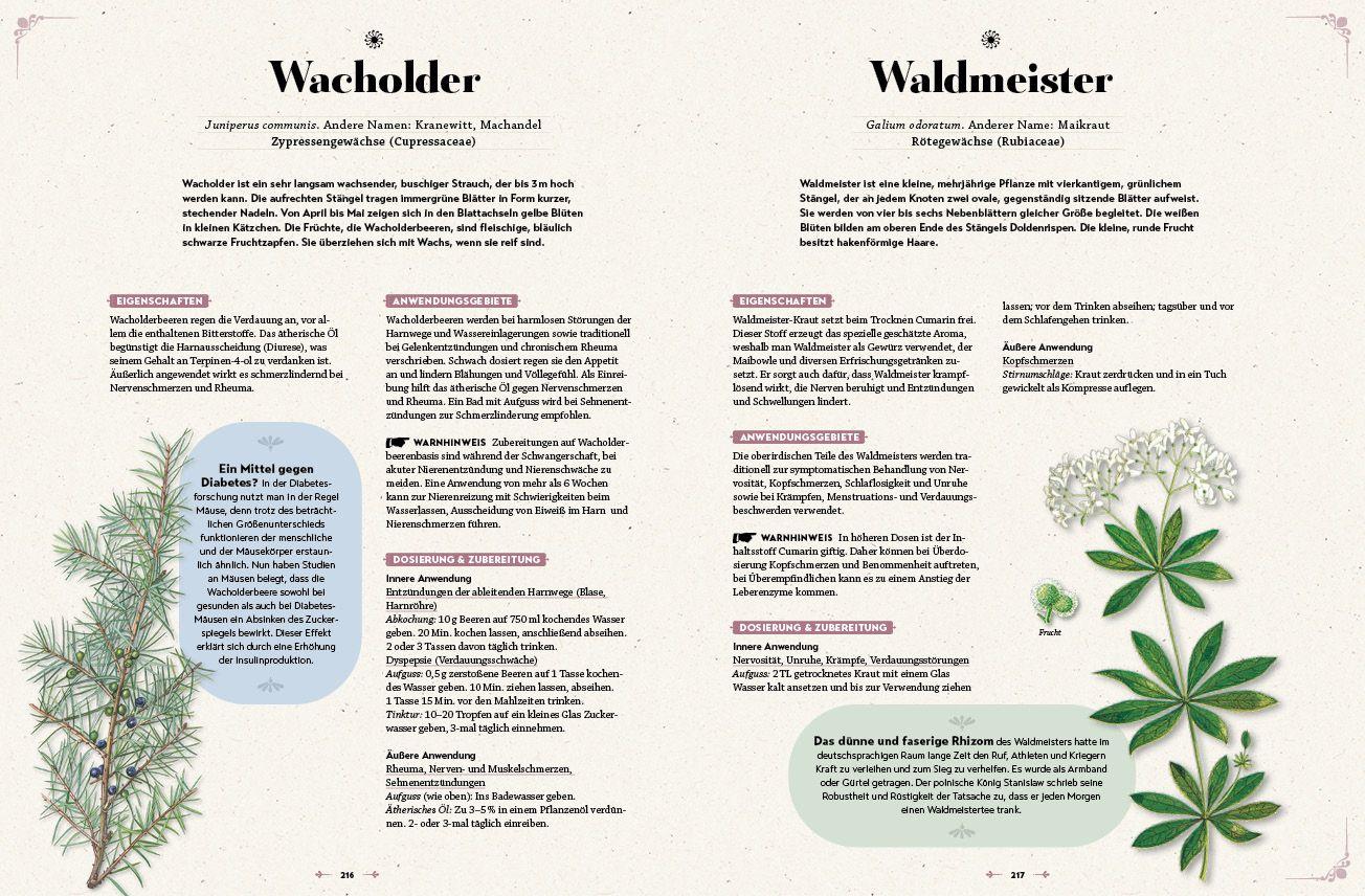 Beispielinhalt (Bild) Das große Reader´s Digest Heilpflanzenbuch