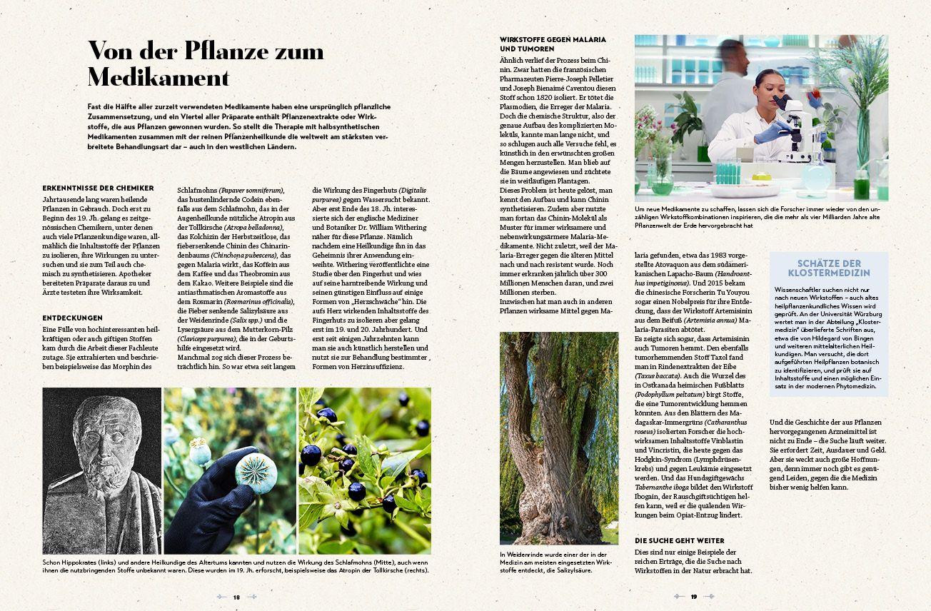 Beispielinhalt (Bild) Das große Reader´s Digest Heilpflanzenbuch