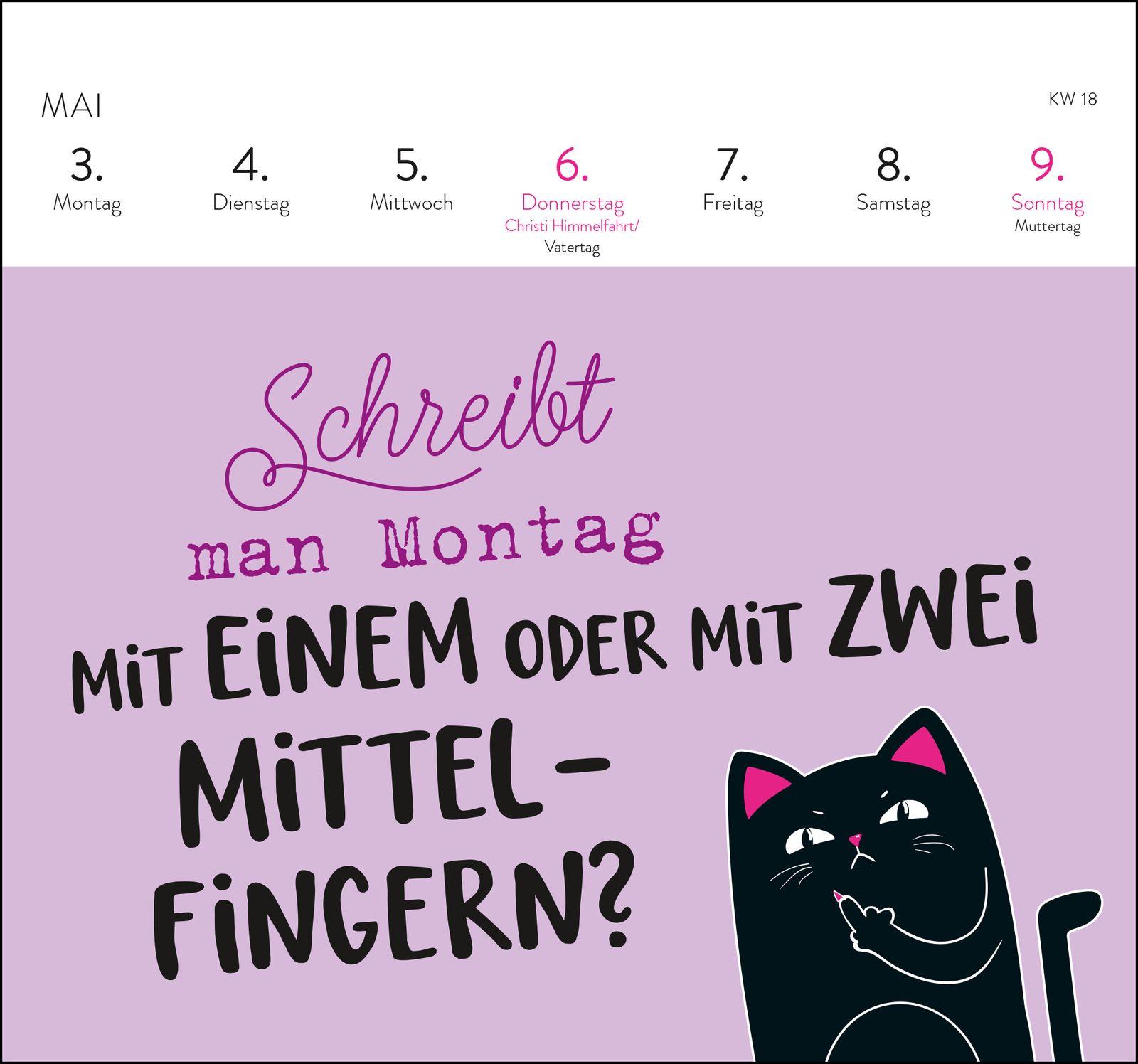 Beispielinhalt (Bild) Postkartenkalender 2027: Falls mich jemand sucht: Ich bin im Eimer