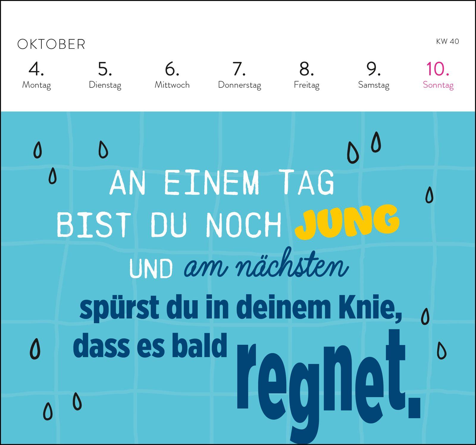 Beispielinhalt (Bild) Postkartenkalender 2027: Falls mich jemand sucht: Ich bin im Eimer