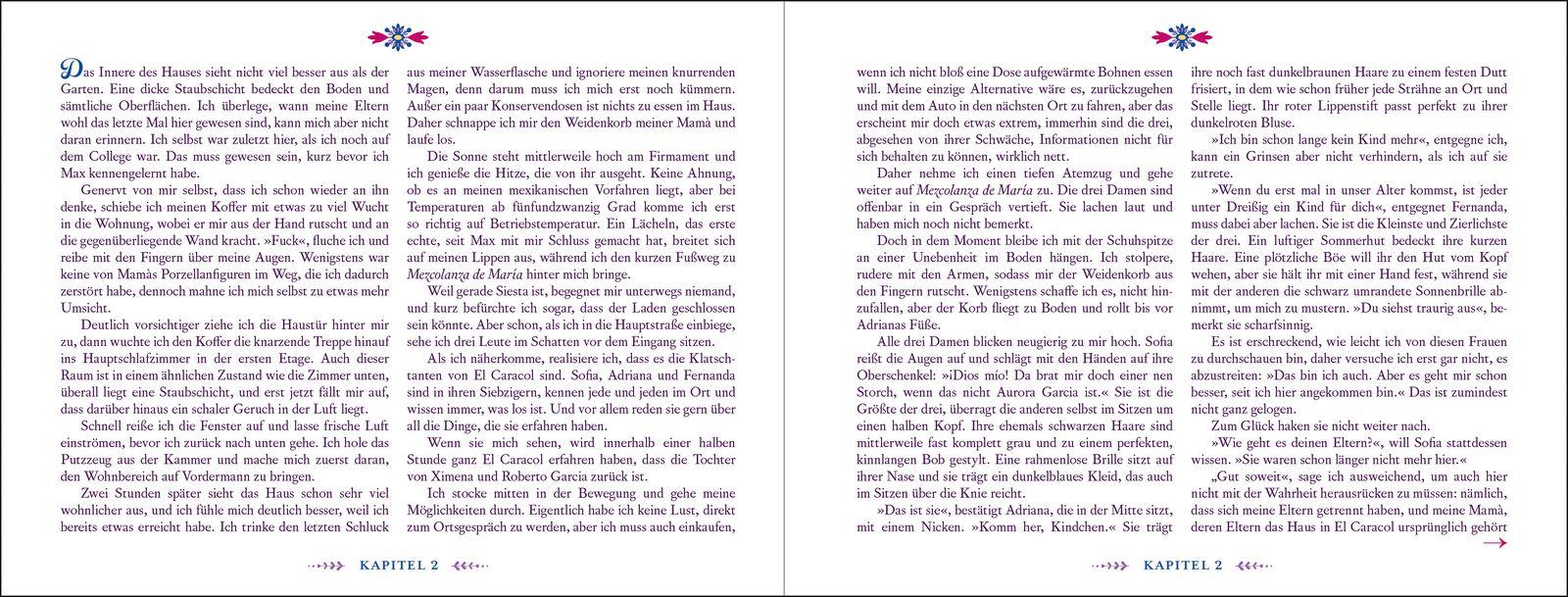 Beispielinhalt (Bild) Summer of Mexican Mystery