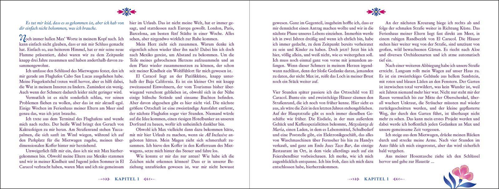 Beispielinhalt (Bild) Summer of Mexican Mystery