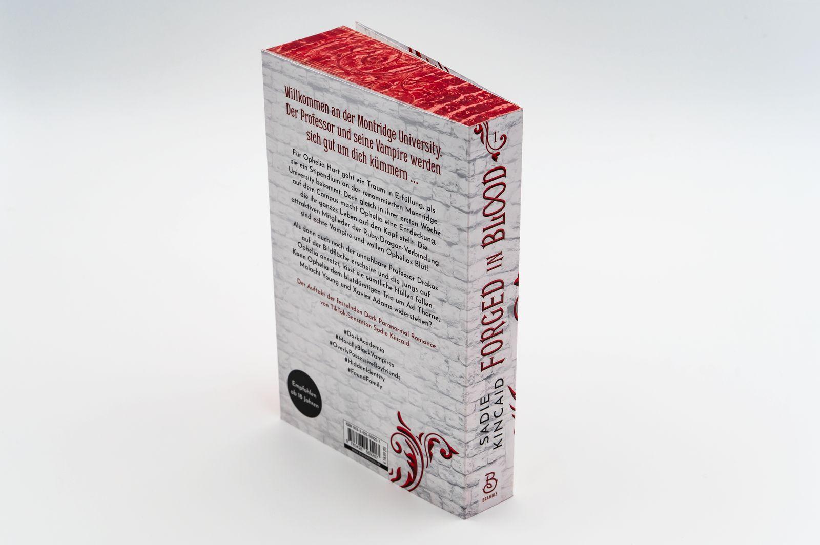 Beispielinhalt (Bild) Forged in Blood