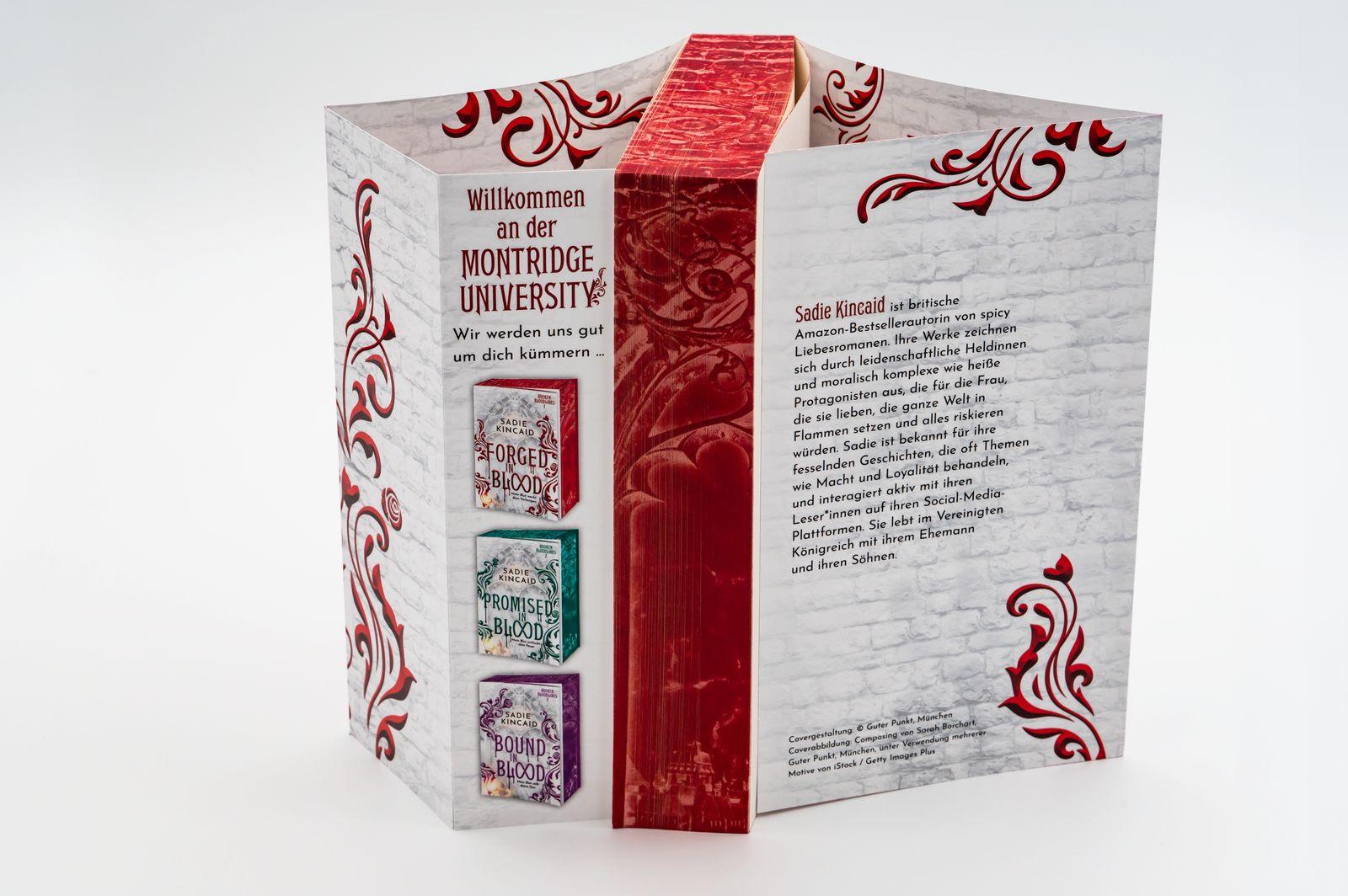 Beispielinhalt (Bild) Forged in Blood