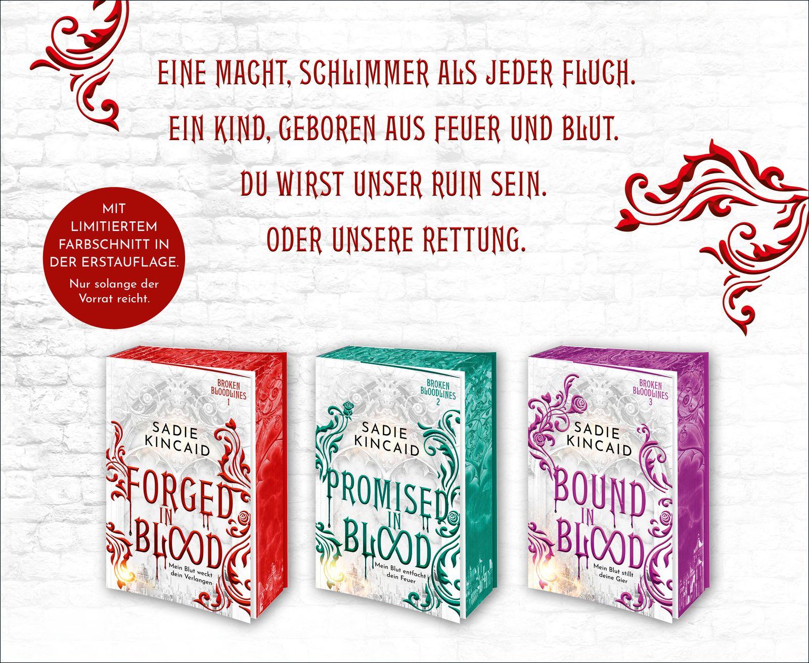 Beispielinhalt (Bild) Forged in Blood